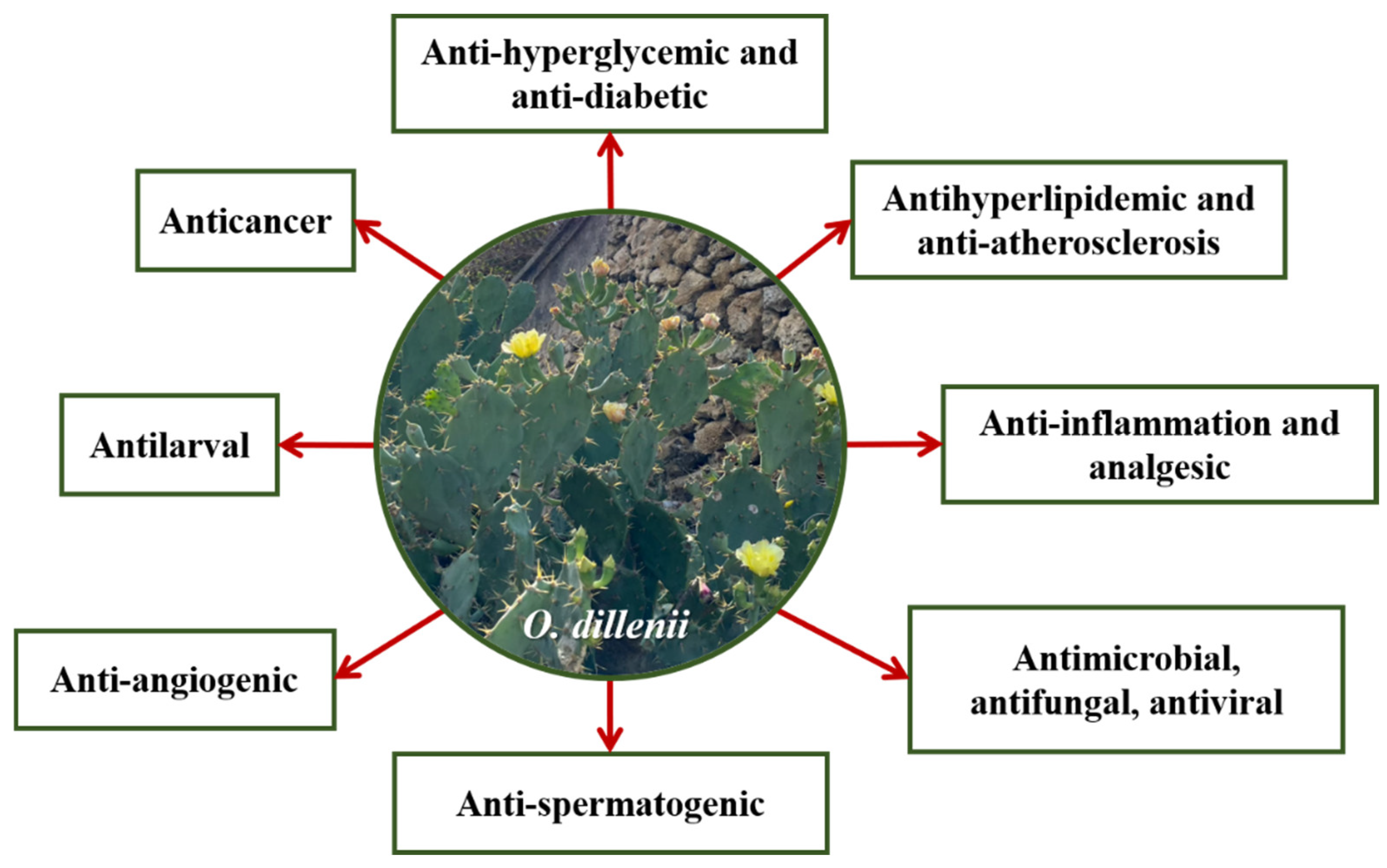 Nutrients 15 02962 g002 Nutrients 15 02962 g002