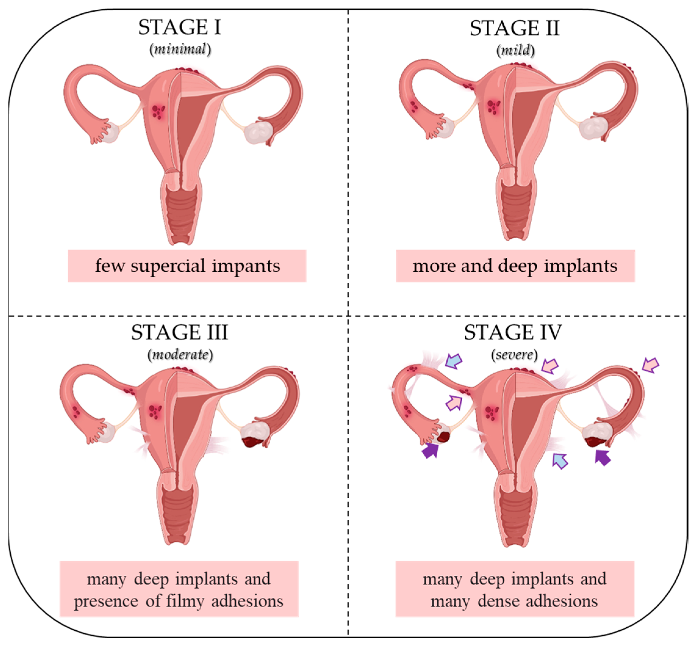 Nutrients 15 02967 g001 Nutrients 15 02967 g001