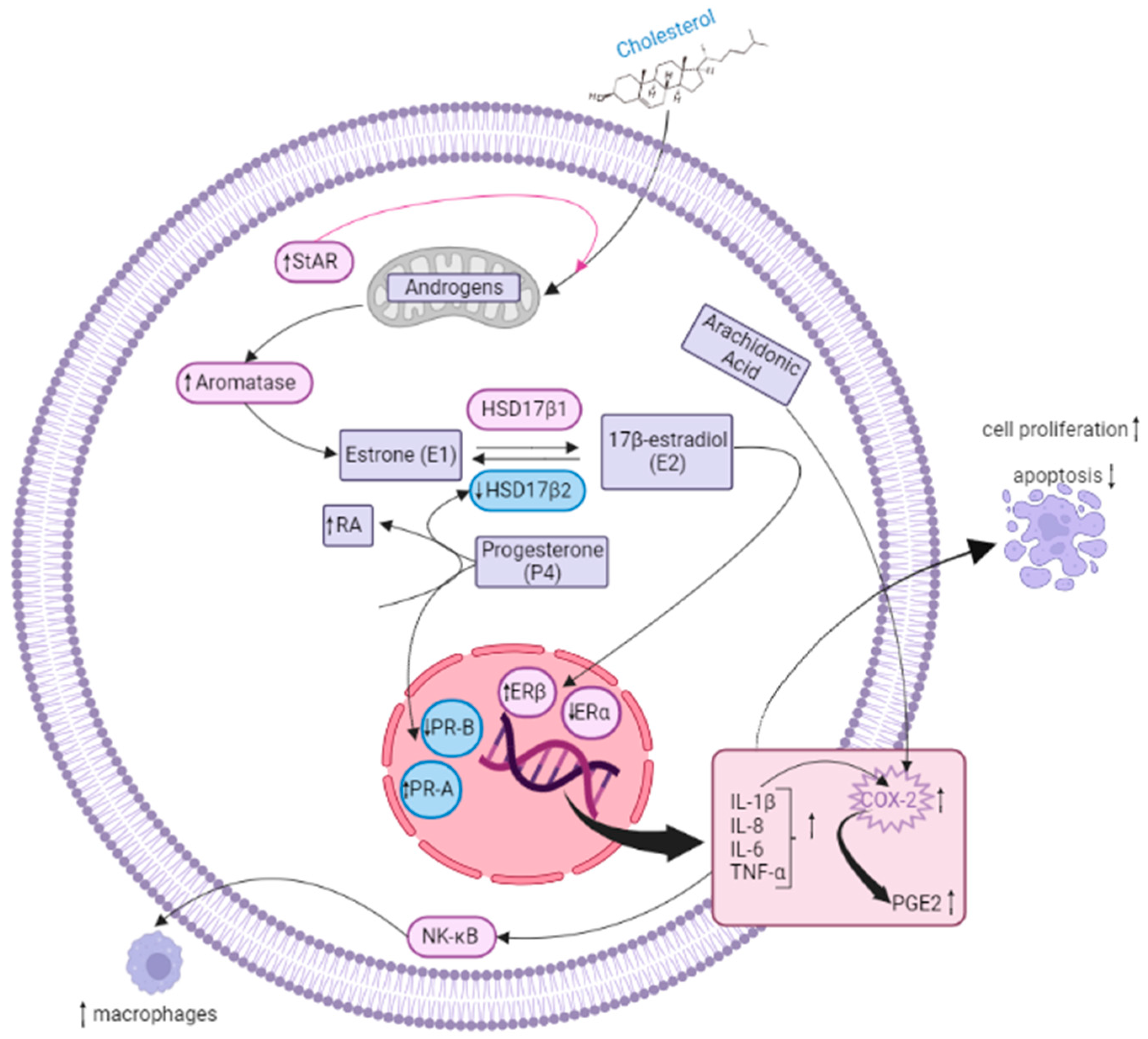 Nutrients 15 02967 g003 Nutrients 15 02967 g003