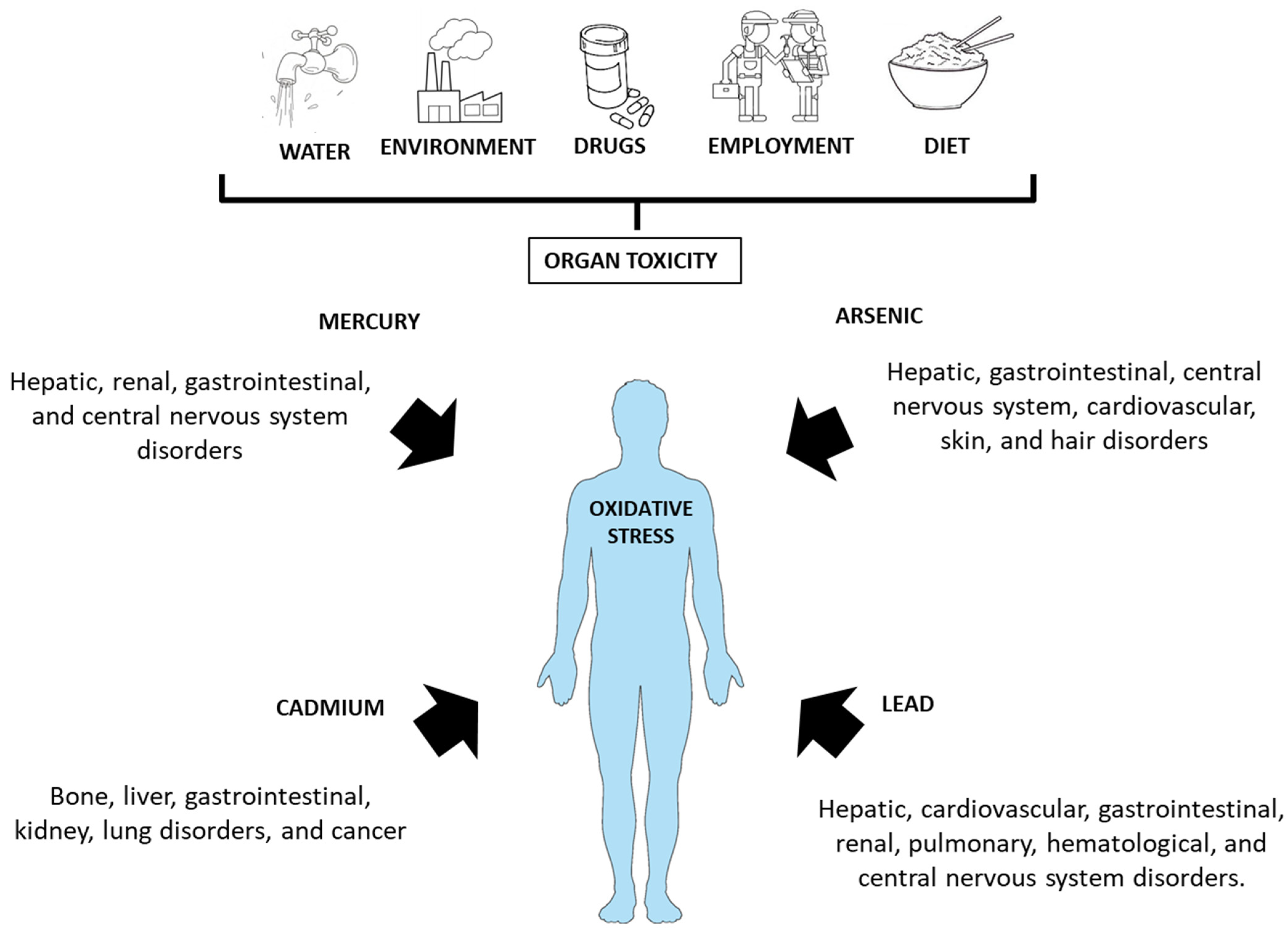 Nutrients | Free Full-Text | Heavy Metal and Rice in Gluten-Free Diets: Are  They a Risk?