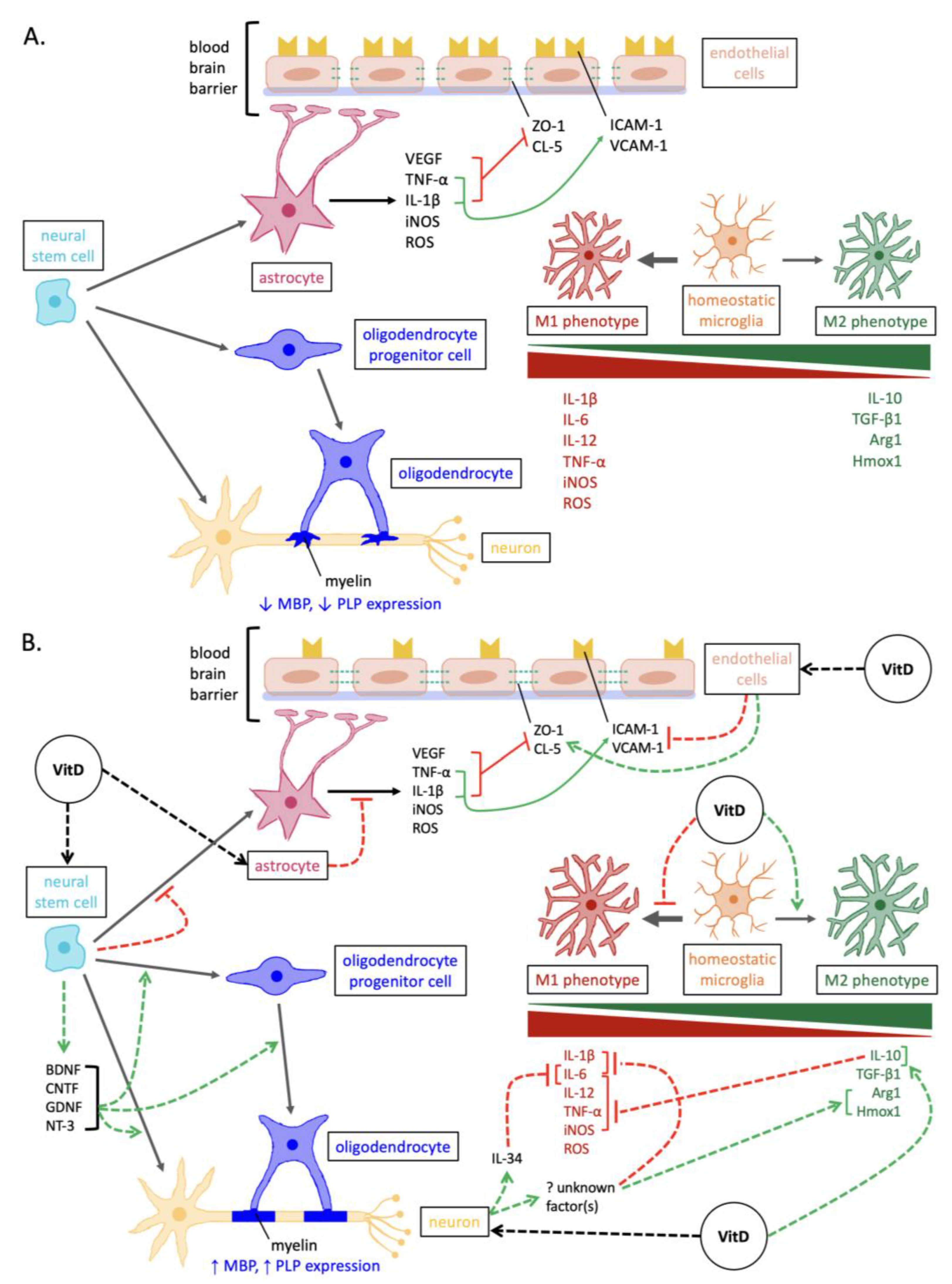 Nutrients 15 02978 g001 Nutrients 15 02978 g001