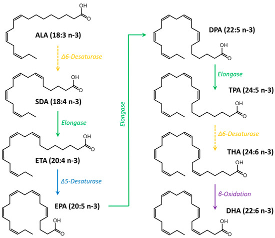 The Effect of Very-Long-Chain n-3 Polyunsaturated Fatty