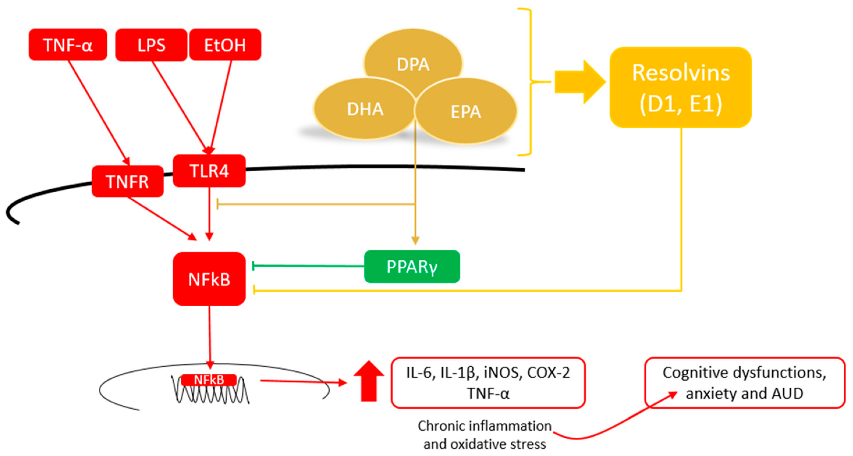 One-Pot Synthesis of TiO2/Hectorite Composite and Its
