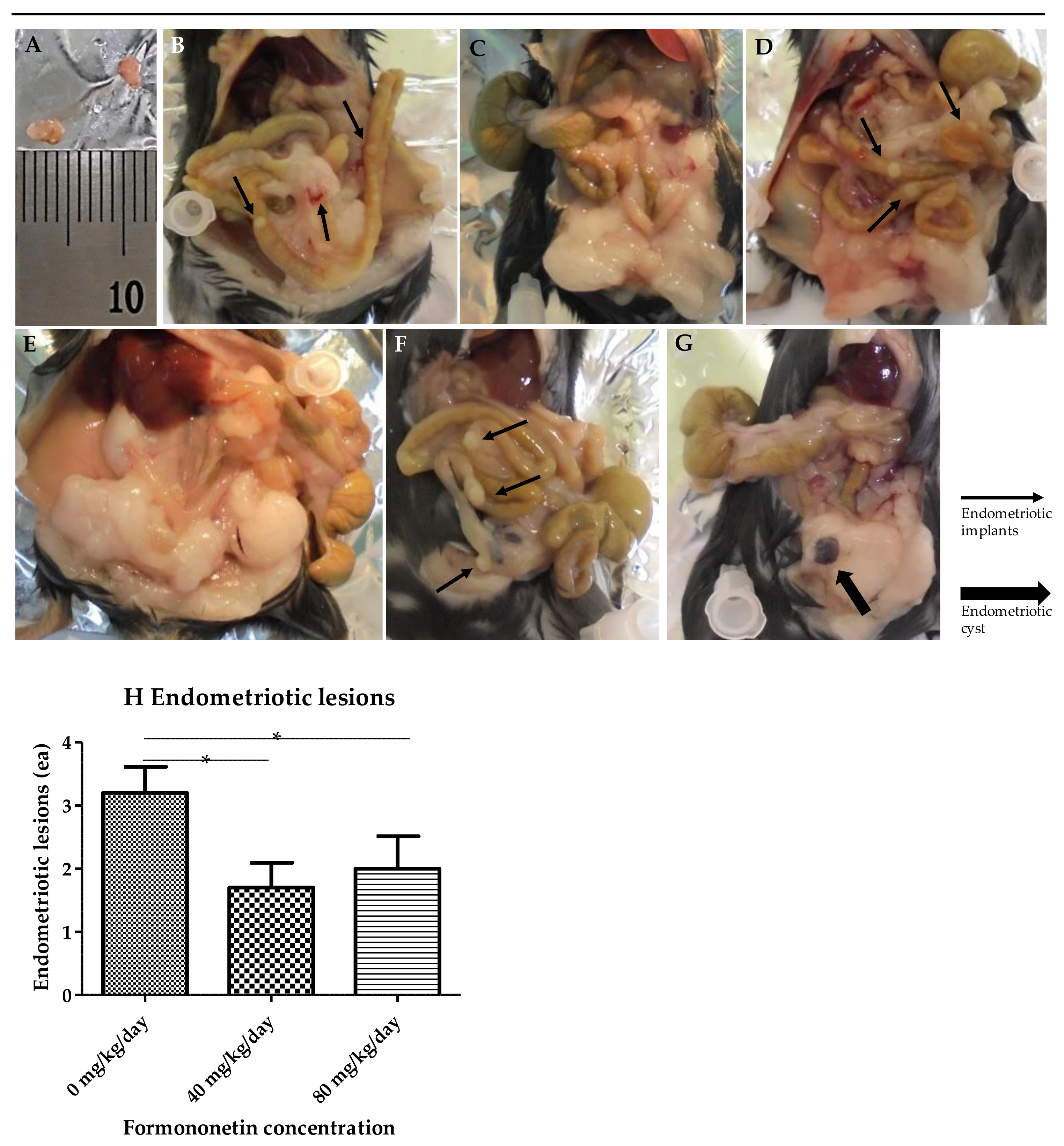Nutrients 15 03001 g006 Nutrients 15 03001 g006