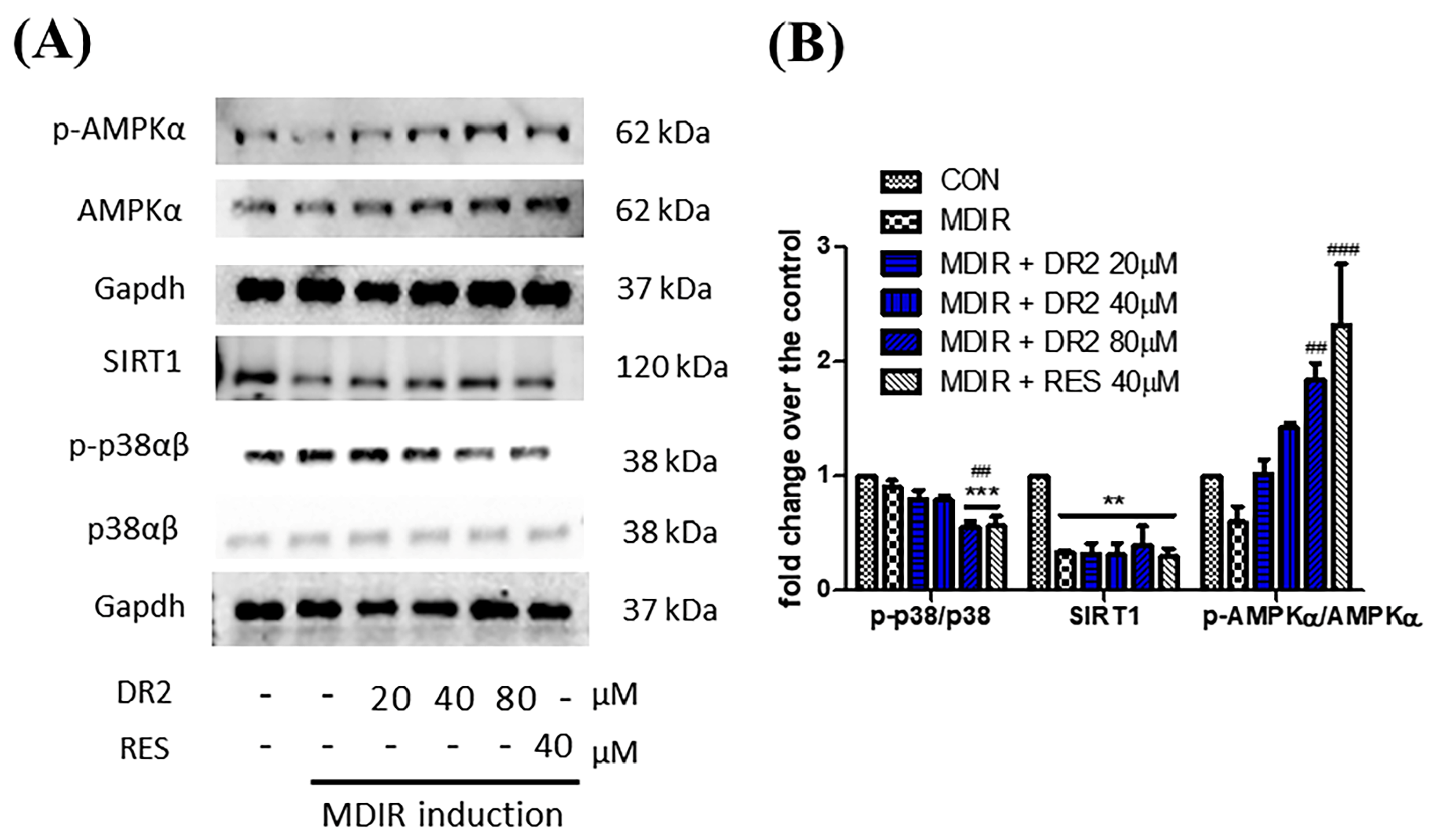 Nutrients 15 03006 g002