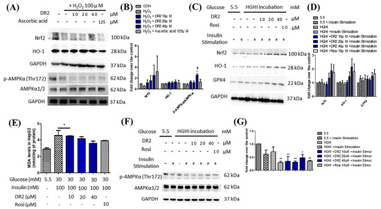 Dihydro-Resveratrol Attenuates Oxidative Stress