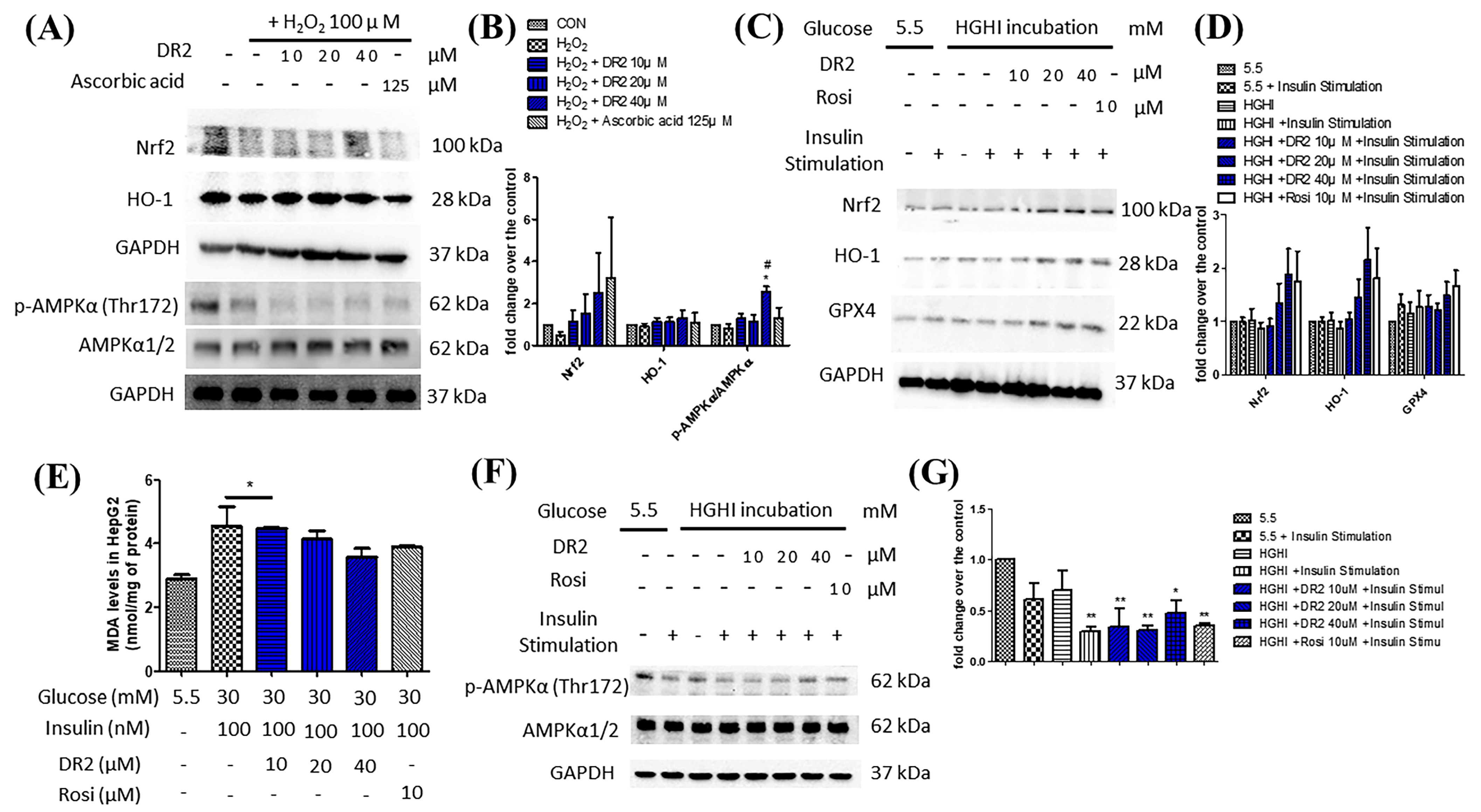 Nutrients 15 03006 g003