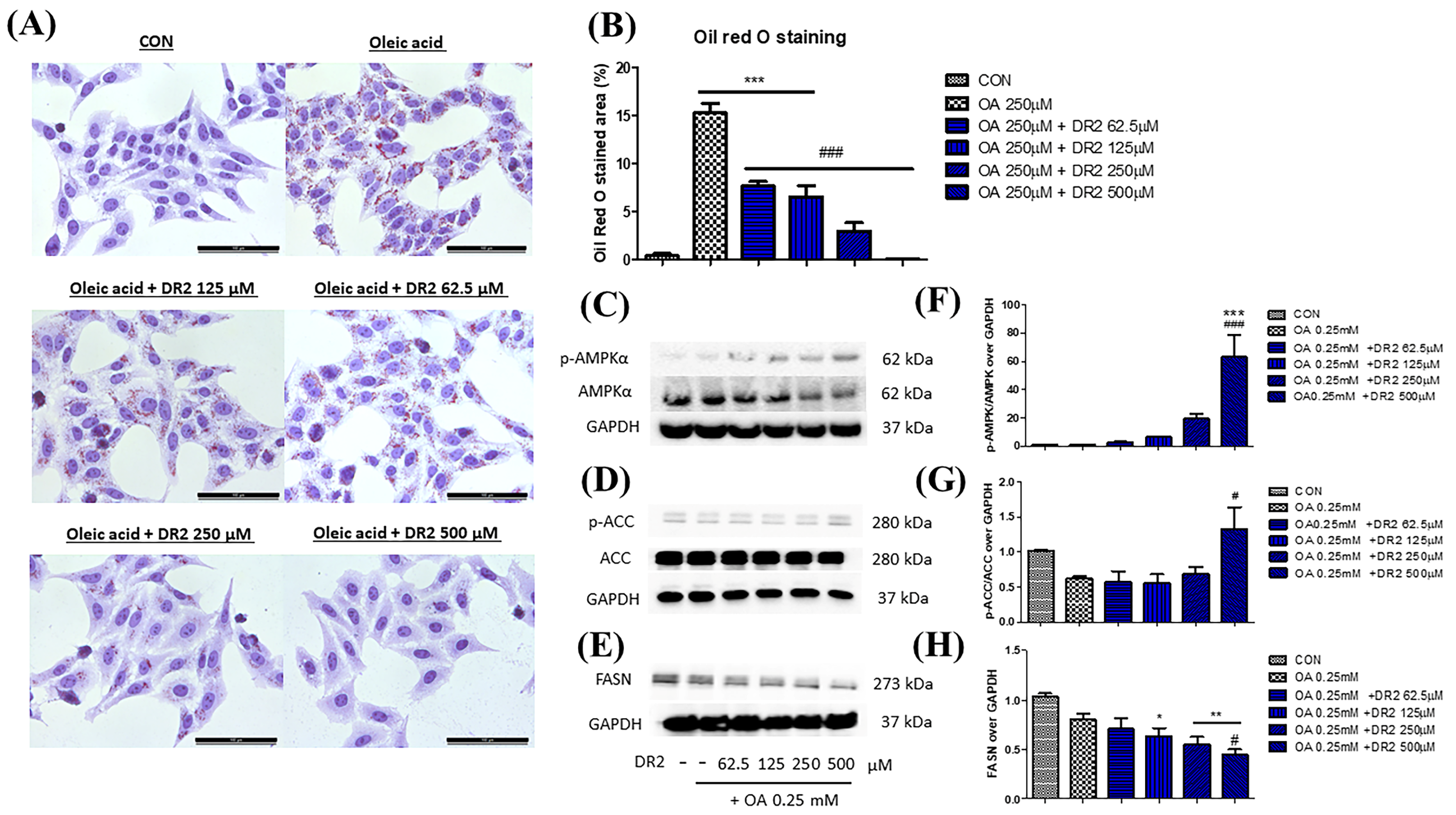 Nutrients 15 03006 g004