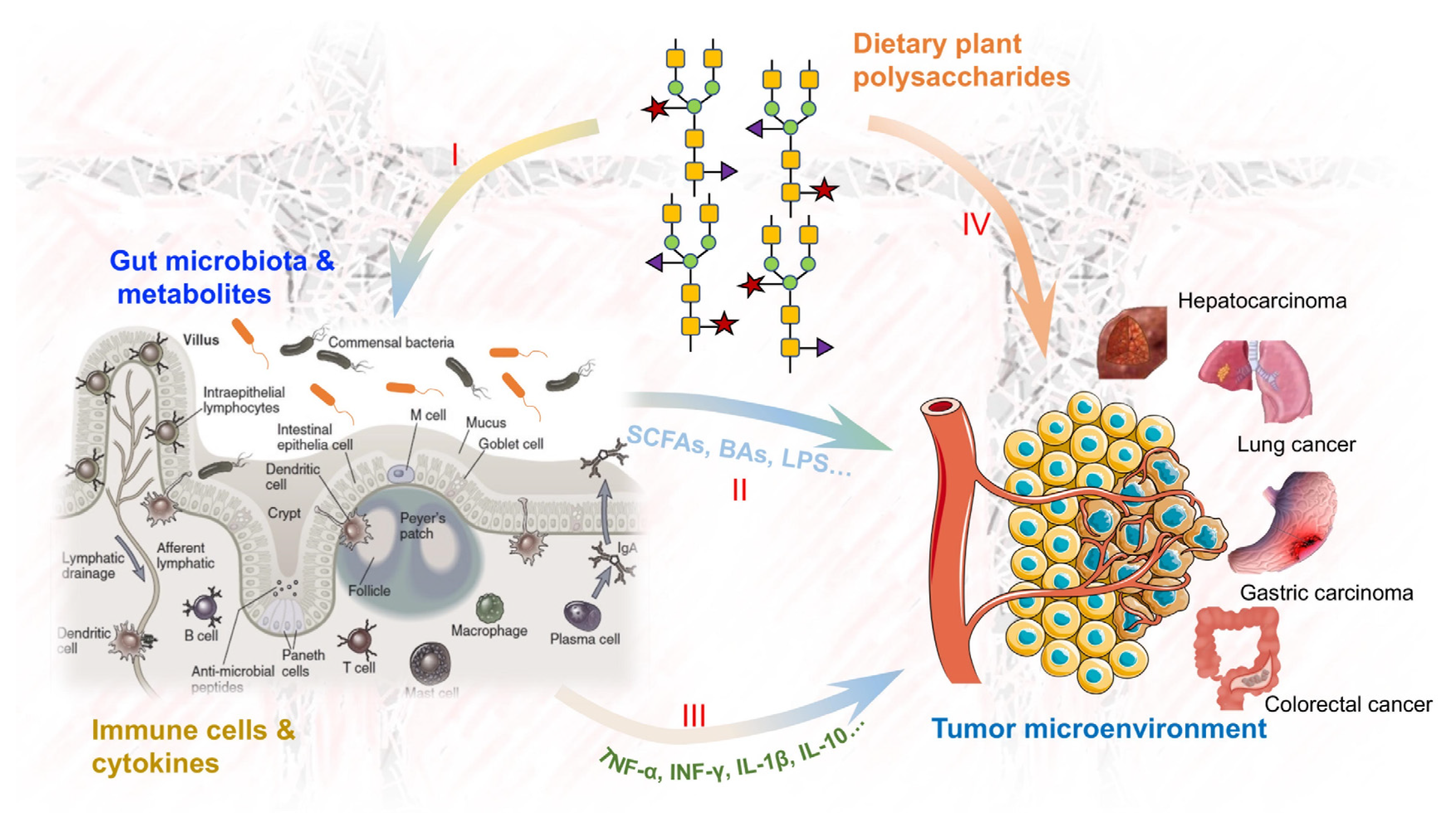 Nutrients 15 03019 g001