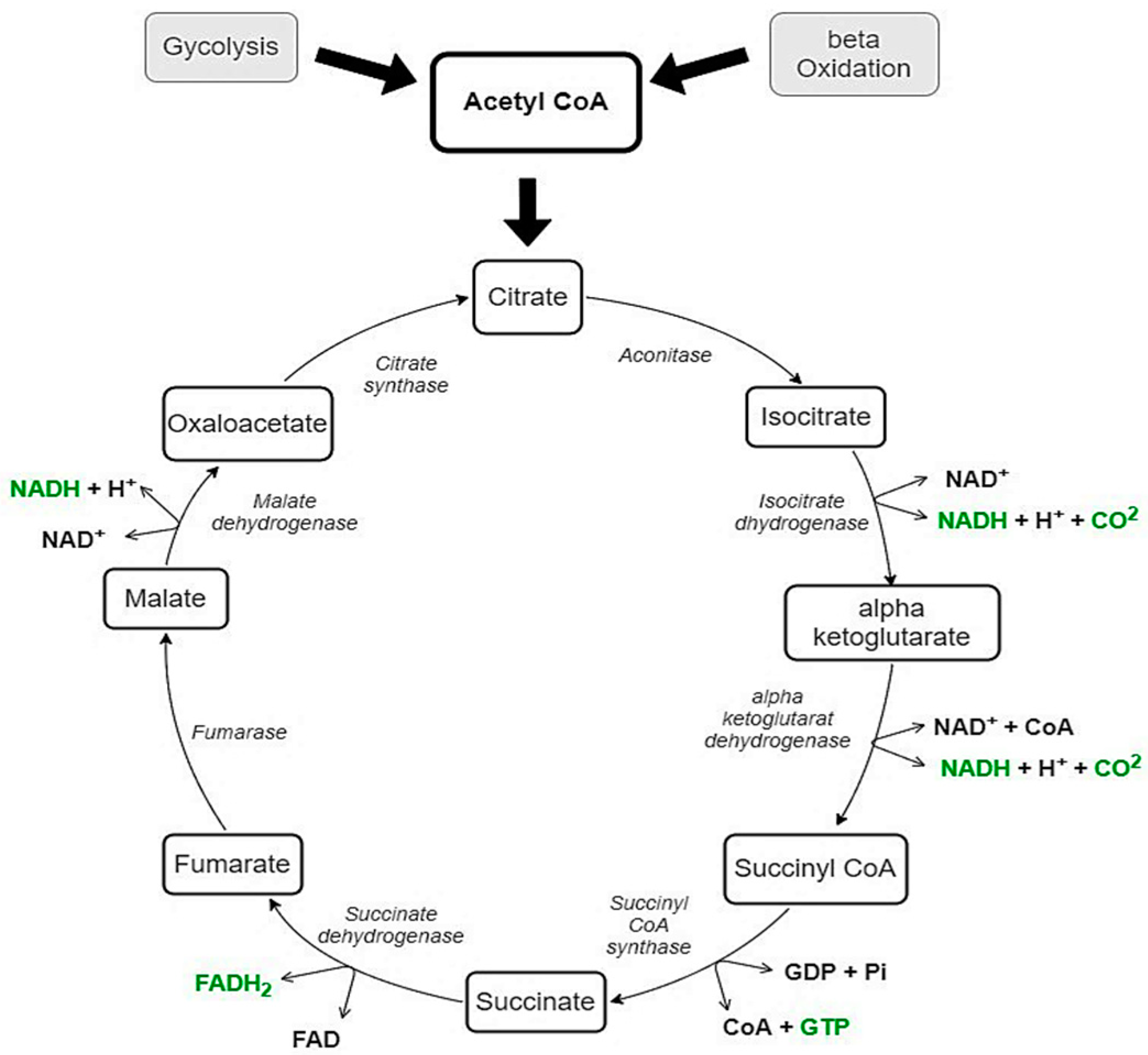 Nutrients 15 03028 g001 Nutrients 15 03028 g001