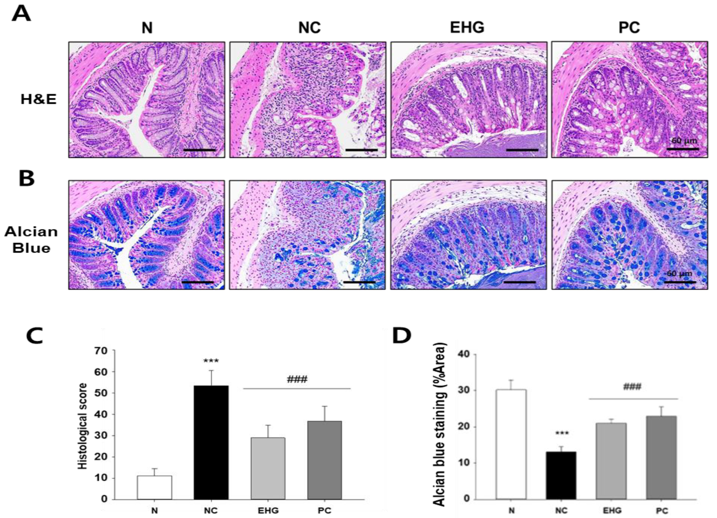 Nutrients 15 03029 g002 Nutrients 15 03029 g002