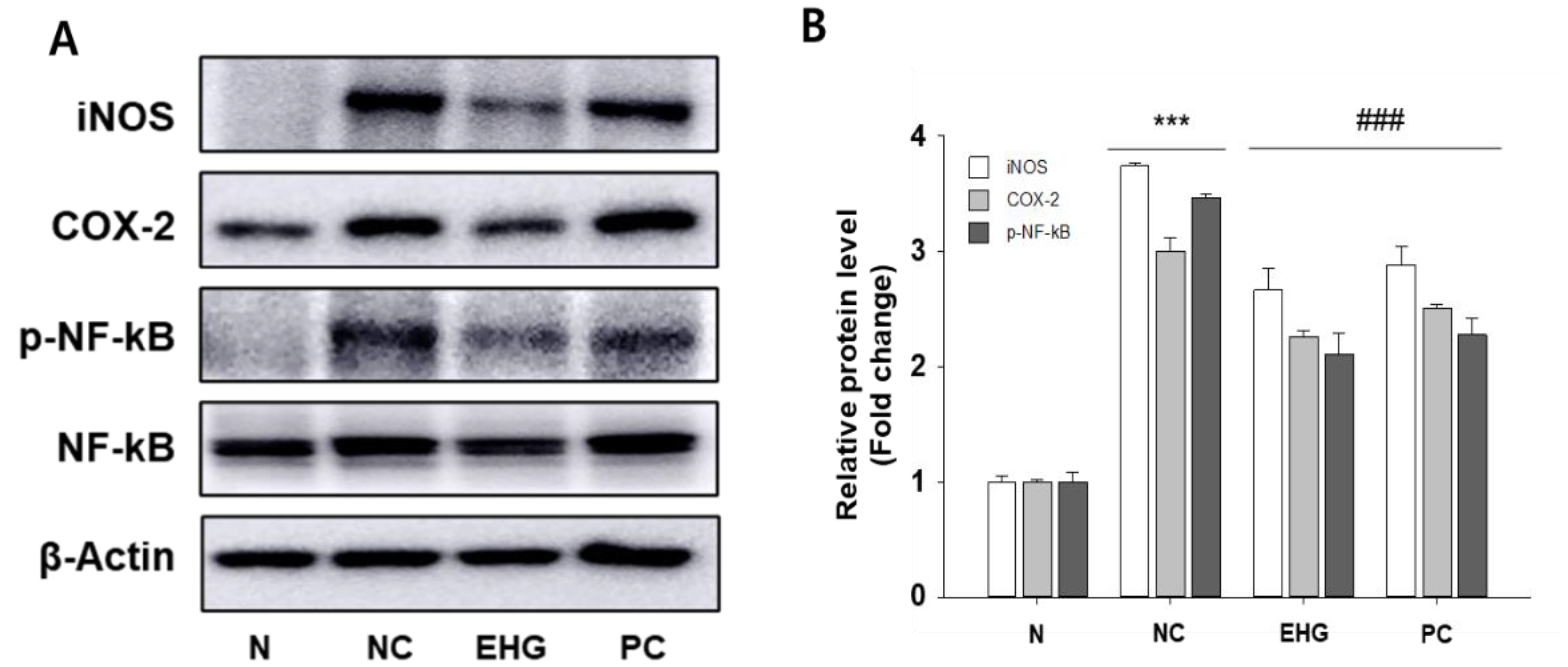 Nutrients 15 03029 g004 Nutrients 15 03029 g004