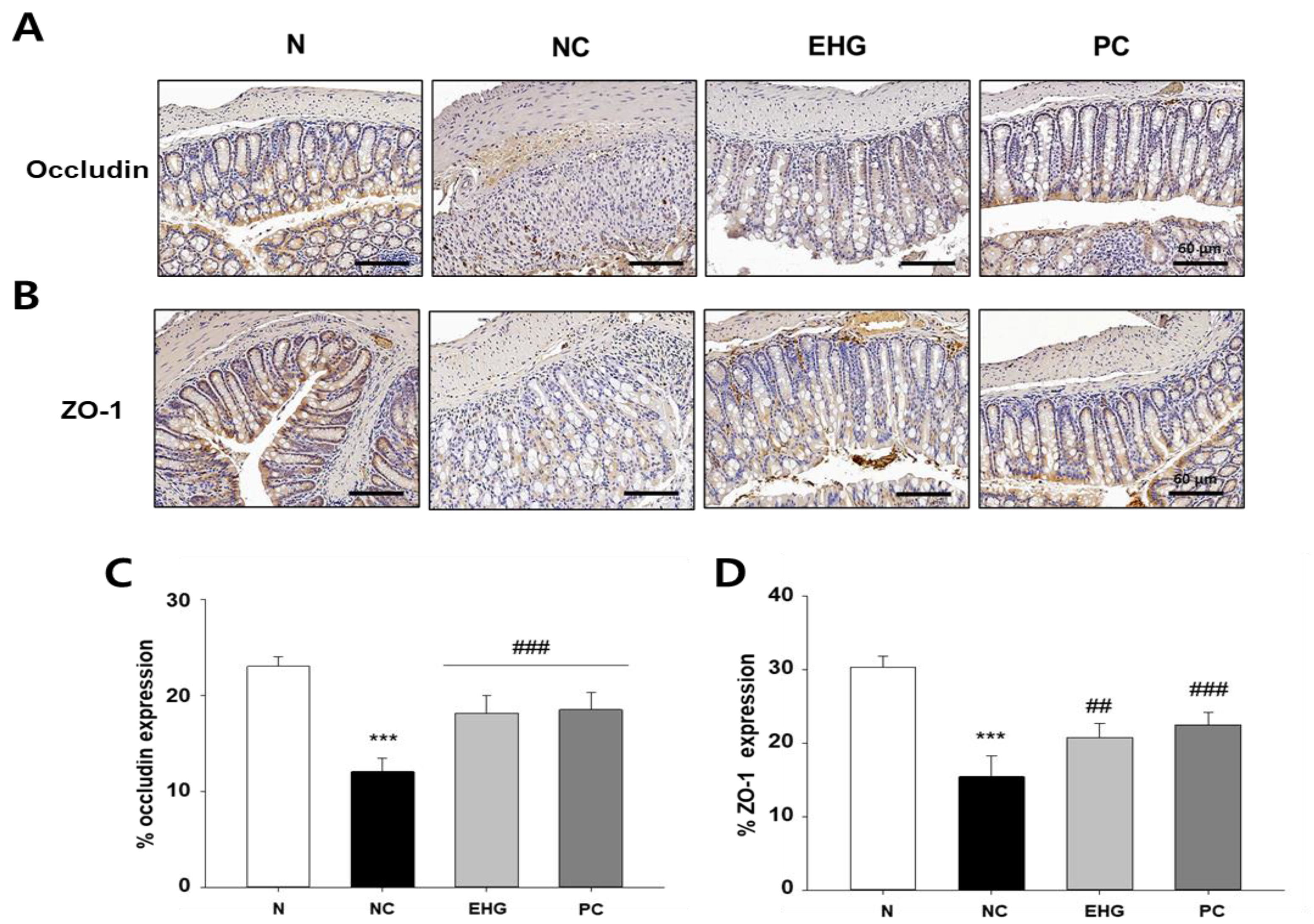 Nutrients 15 03029 g005 Nutrients 15 03029 g005