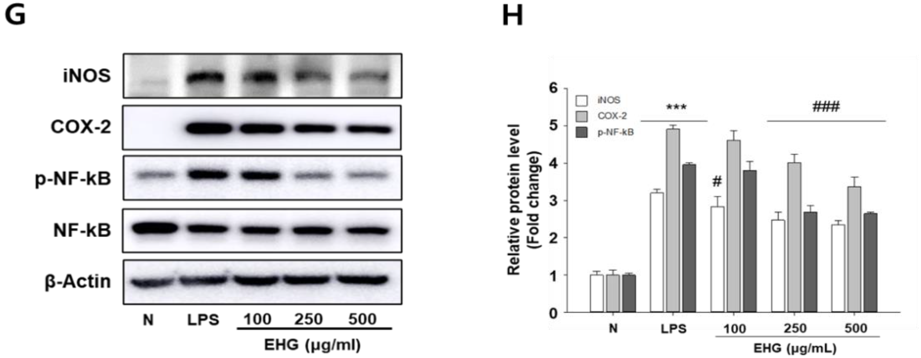 Nutrients 15 03029 g006b Nutrients 15 03029 g006b