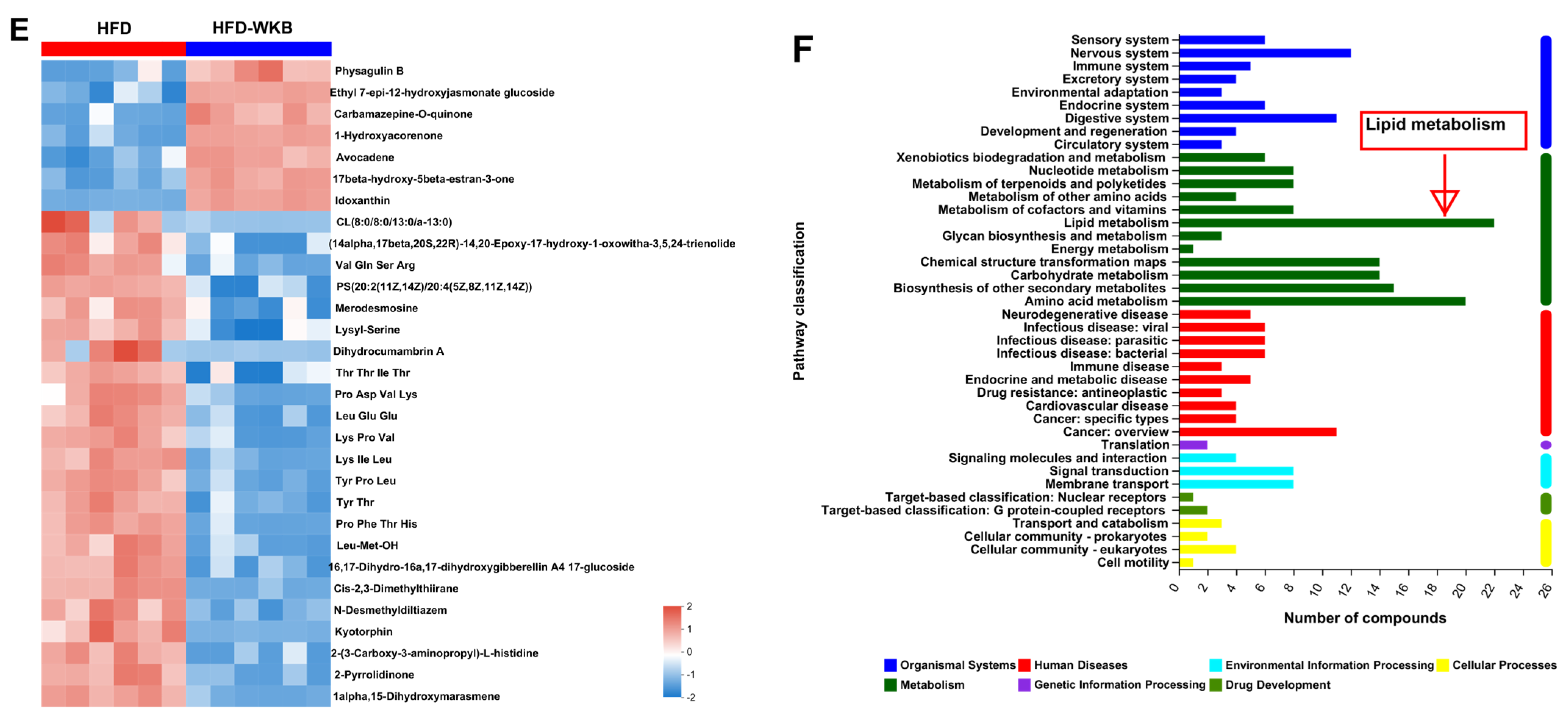 Nutrients 15 03033 g005b Nutrients 15 03033 g005b