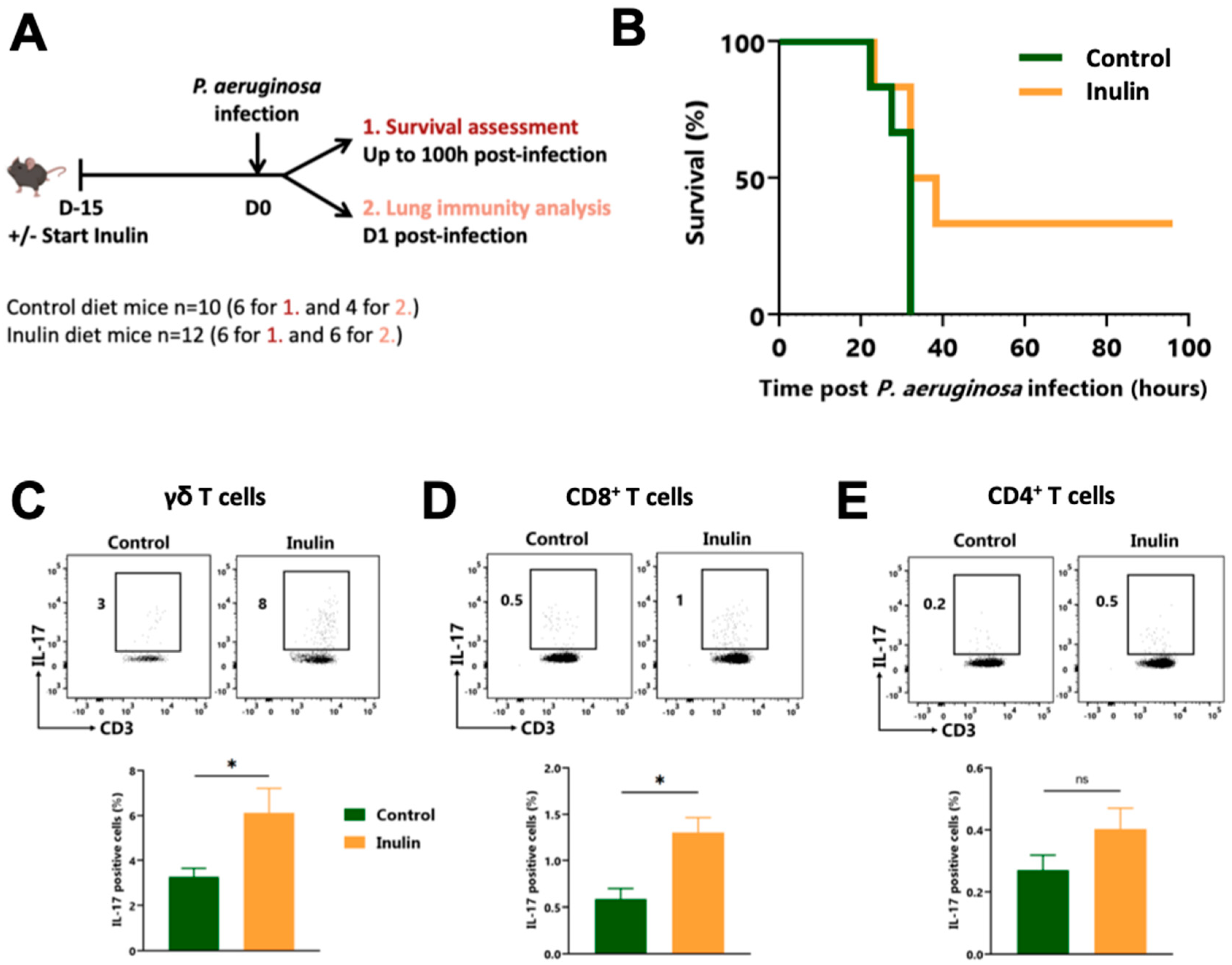 Nutrients 15 03037 g001 Nutrients 15 03037 g001