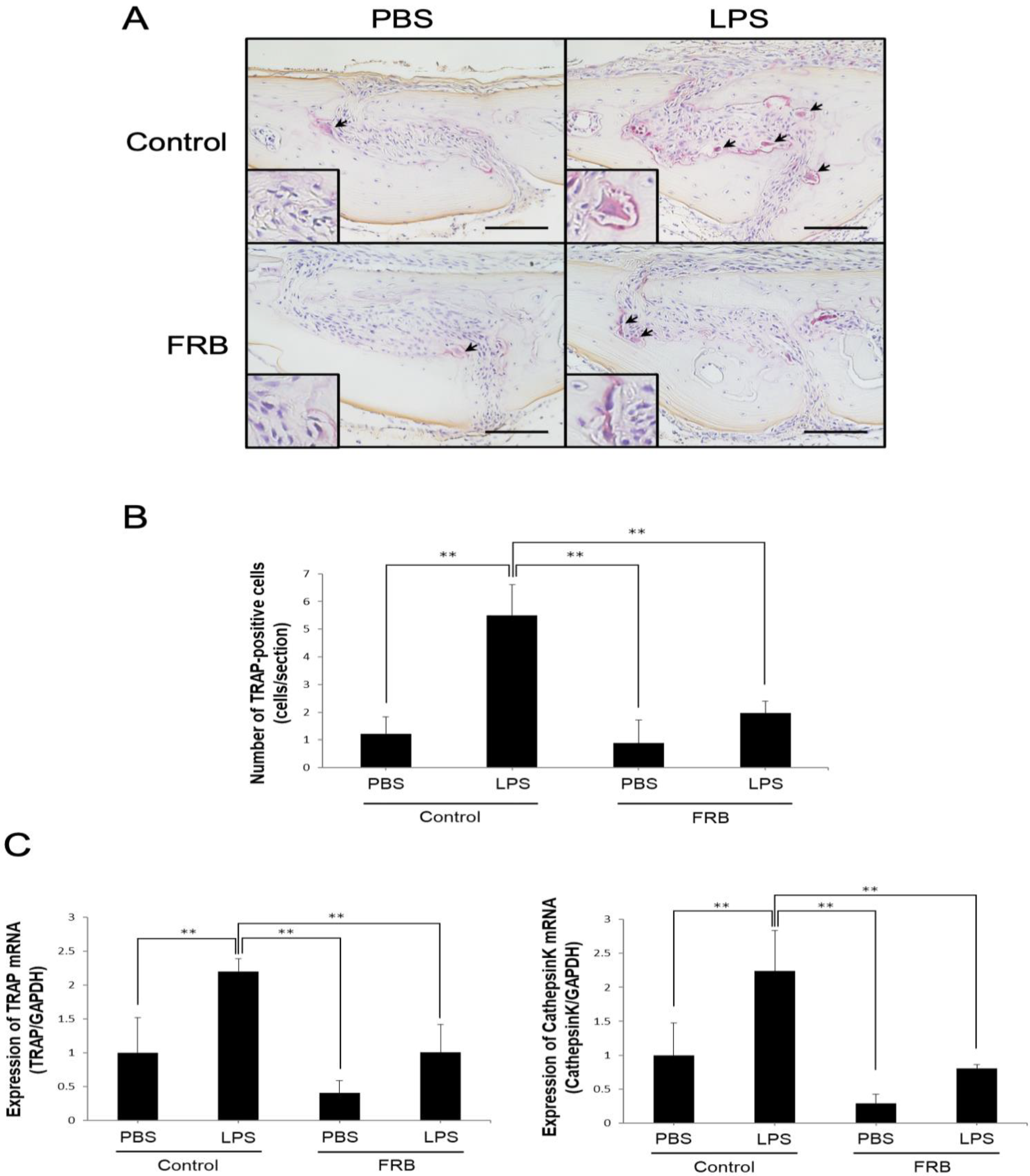Nutrients 15 03044 g001