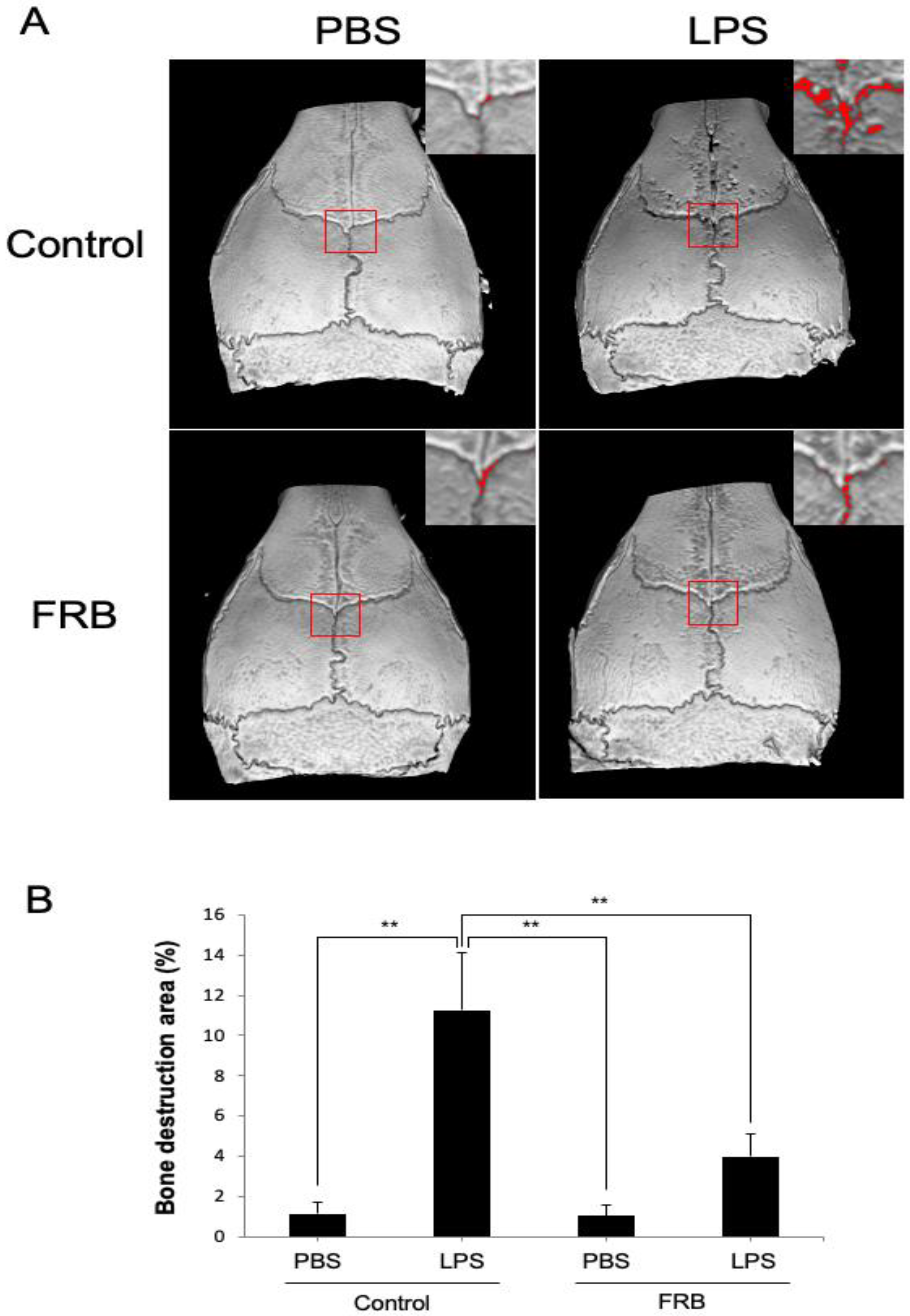 Nutrients 15 03044 g002