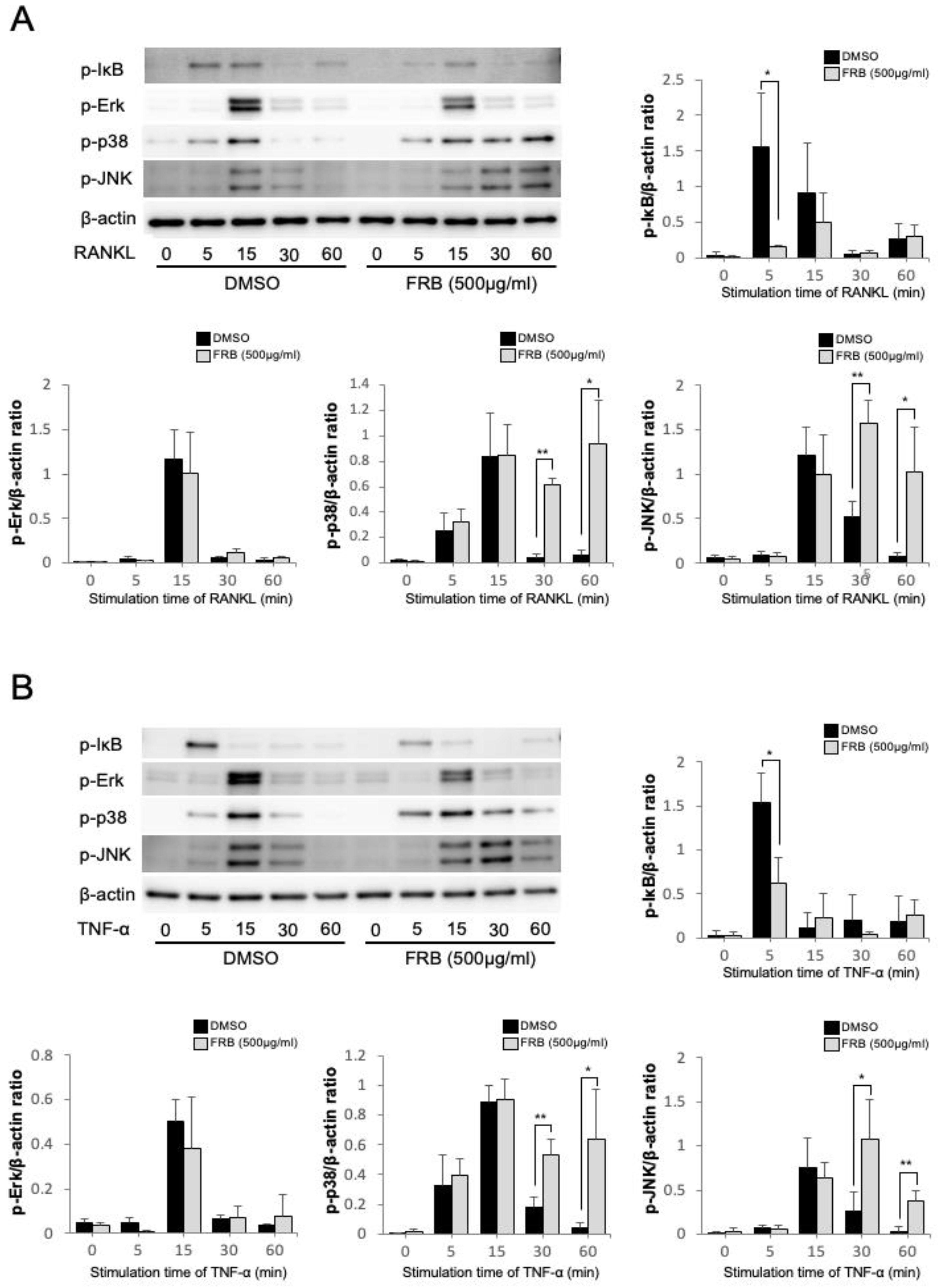 Nutrients 15 03044 g005