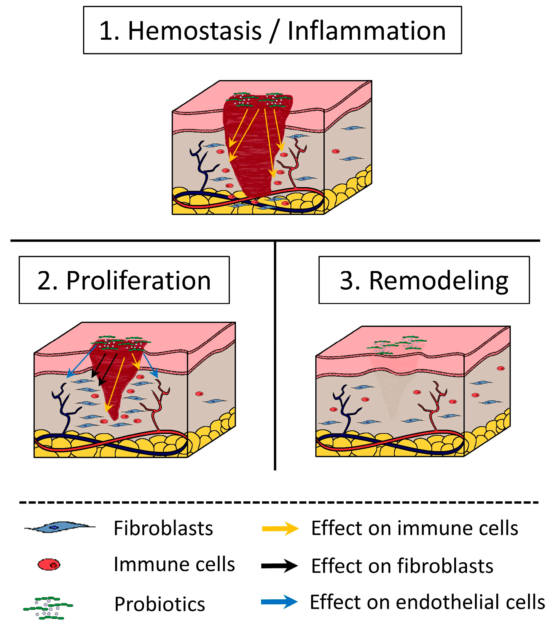 Nutrients 15 03055 g001 Nutrients 15 03055 g001