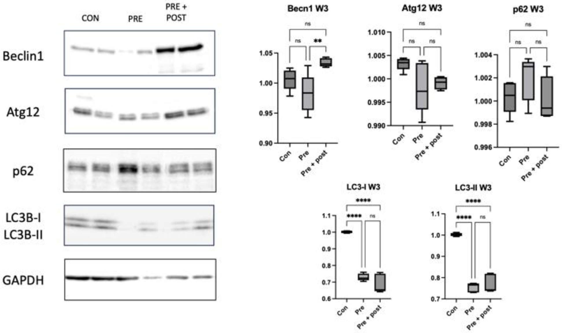Nutrients 15 03058 g004