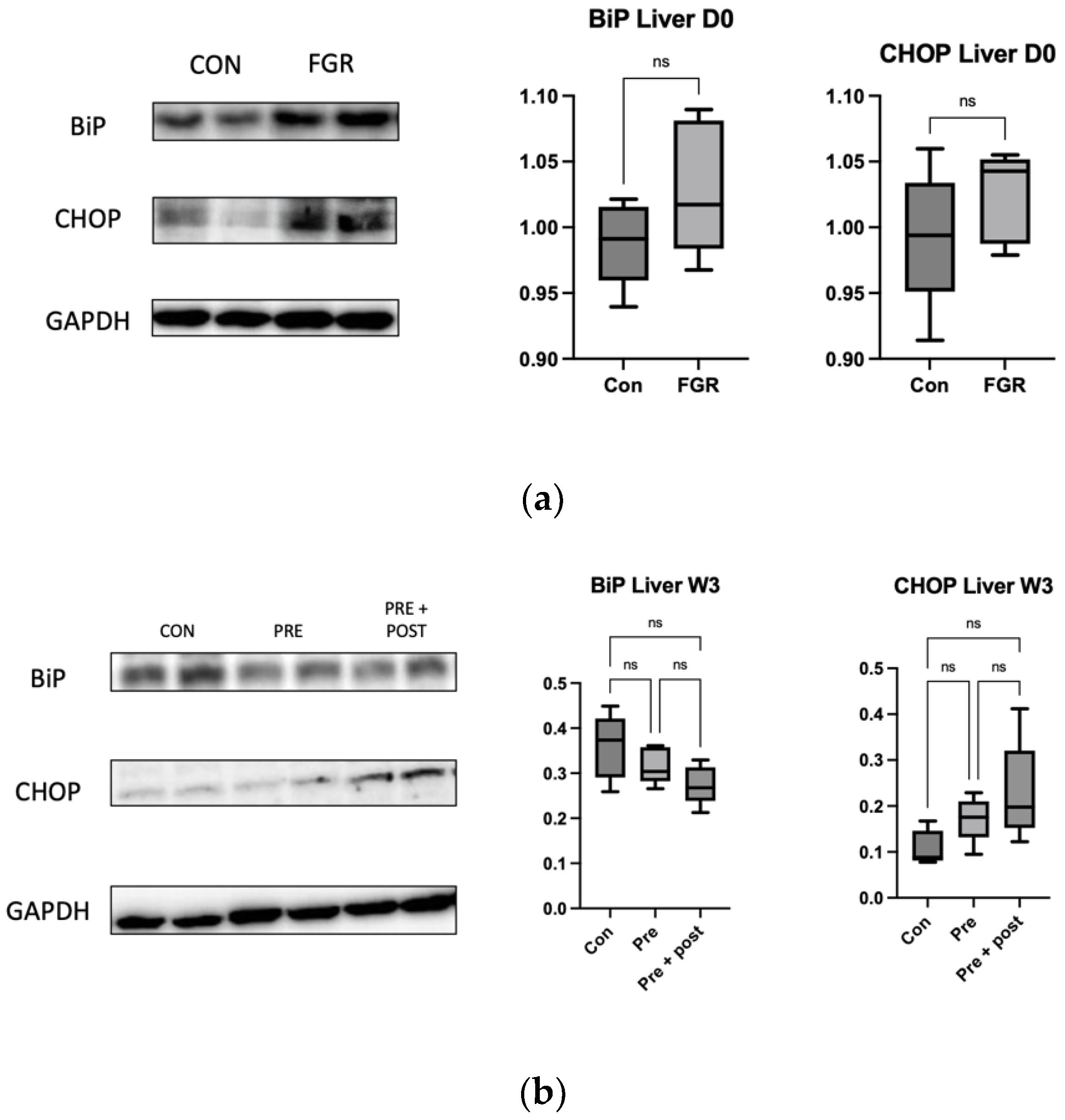Nutrients 15 03058 g007