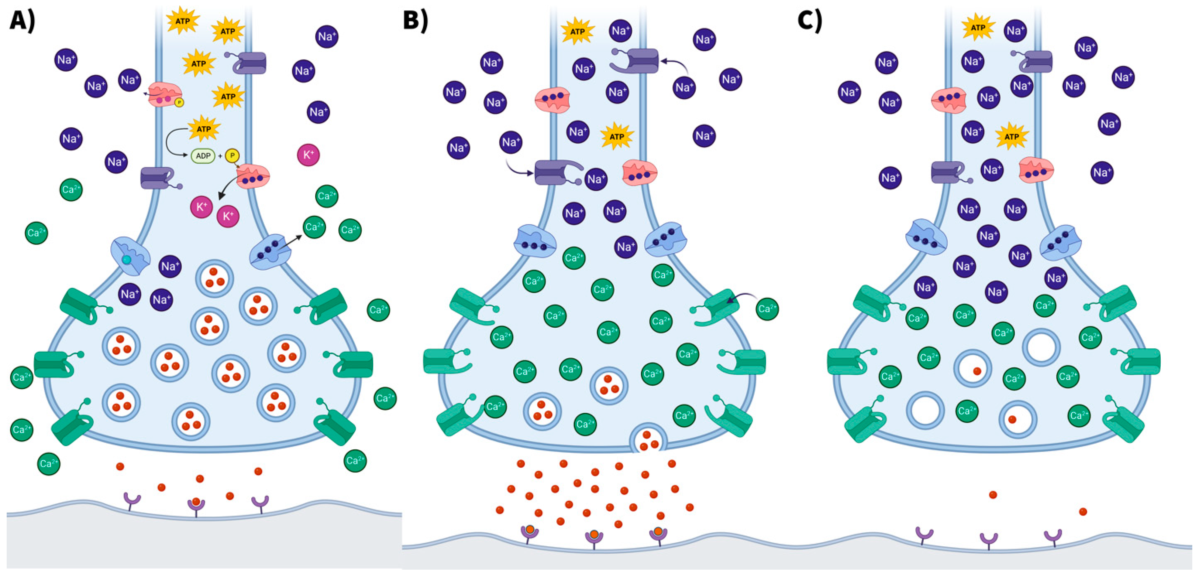 Nutrients 15 03068 g003 Nutrients 15 03068 g003