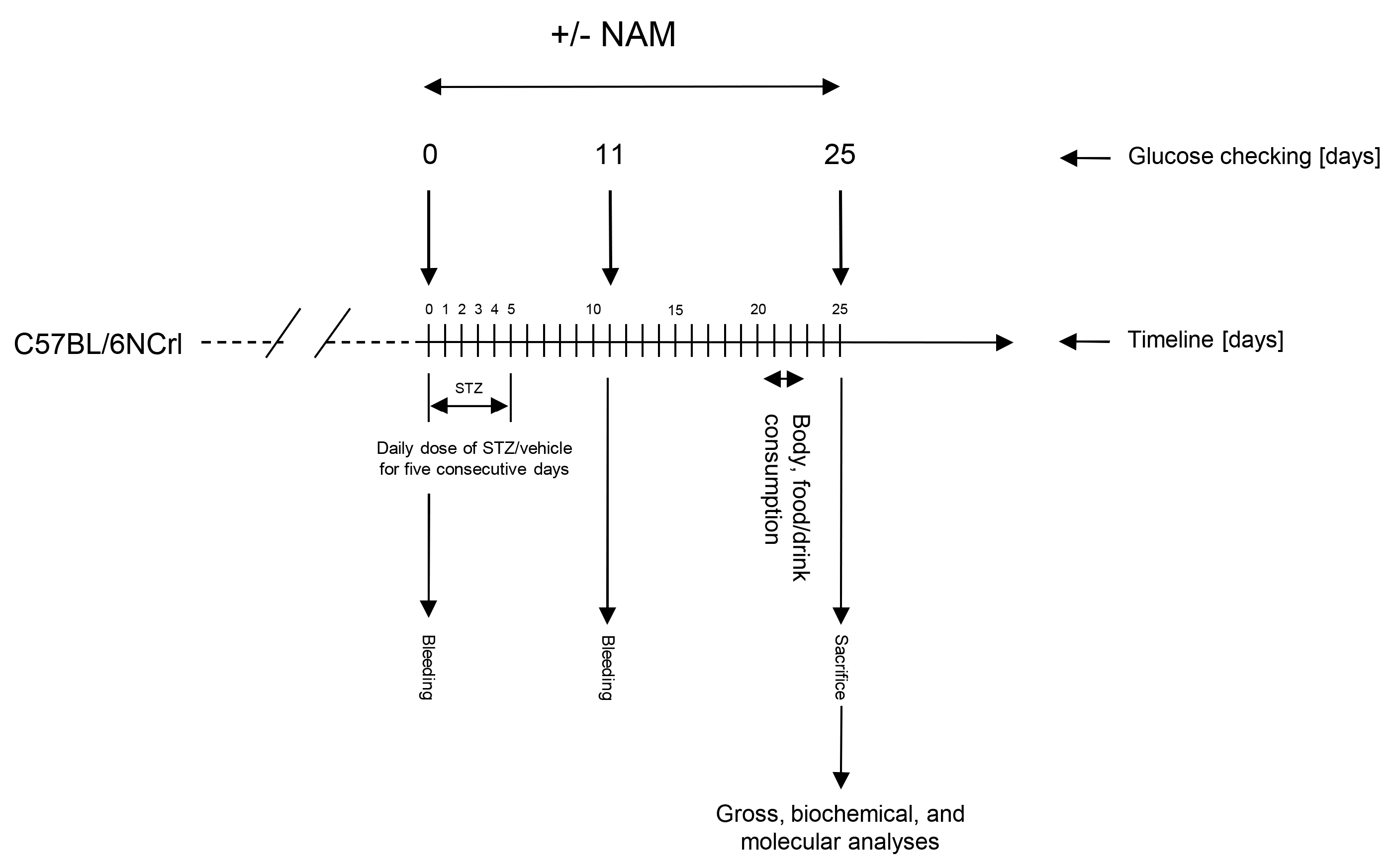Nutrients 15 03083 g001 Nutrients 15 03083 g001