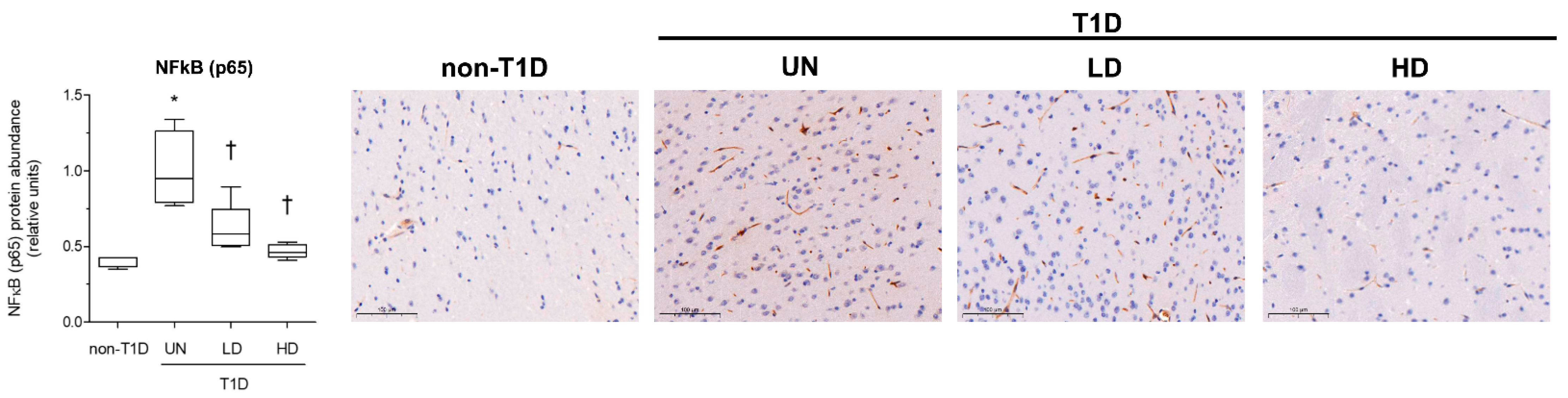 Nutrients 15 03083 g004 Nutrients 15 03083 g004