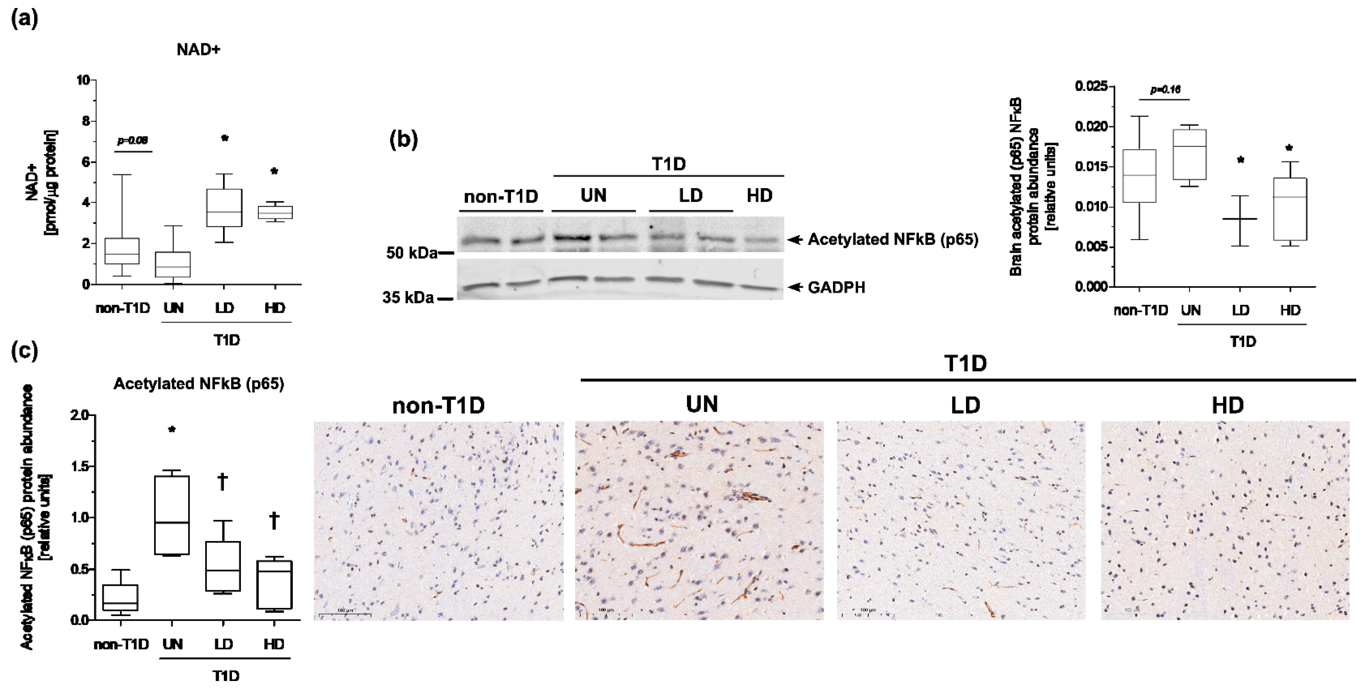 Nutrients 15 03083 g005 Nutrients 15 03083 g005