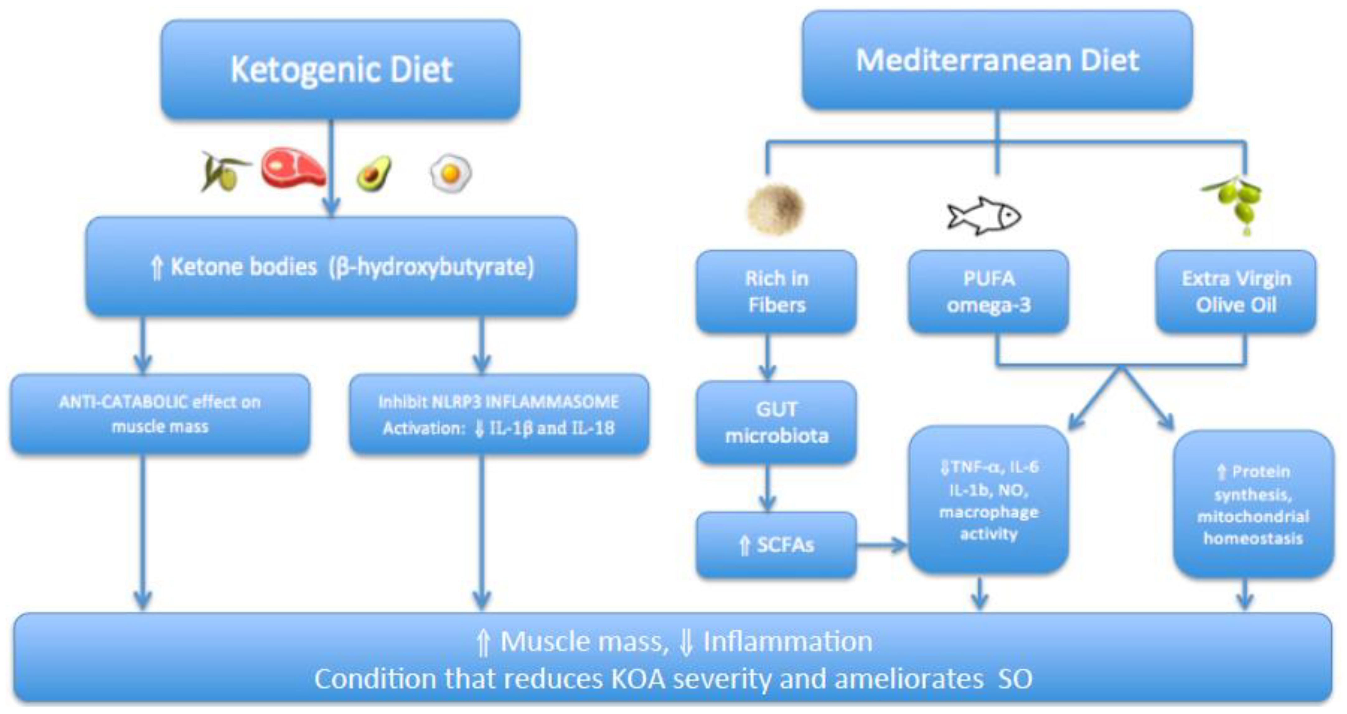 Nutrients 15 03085 g003
