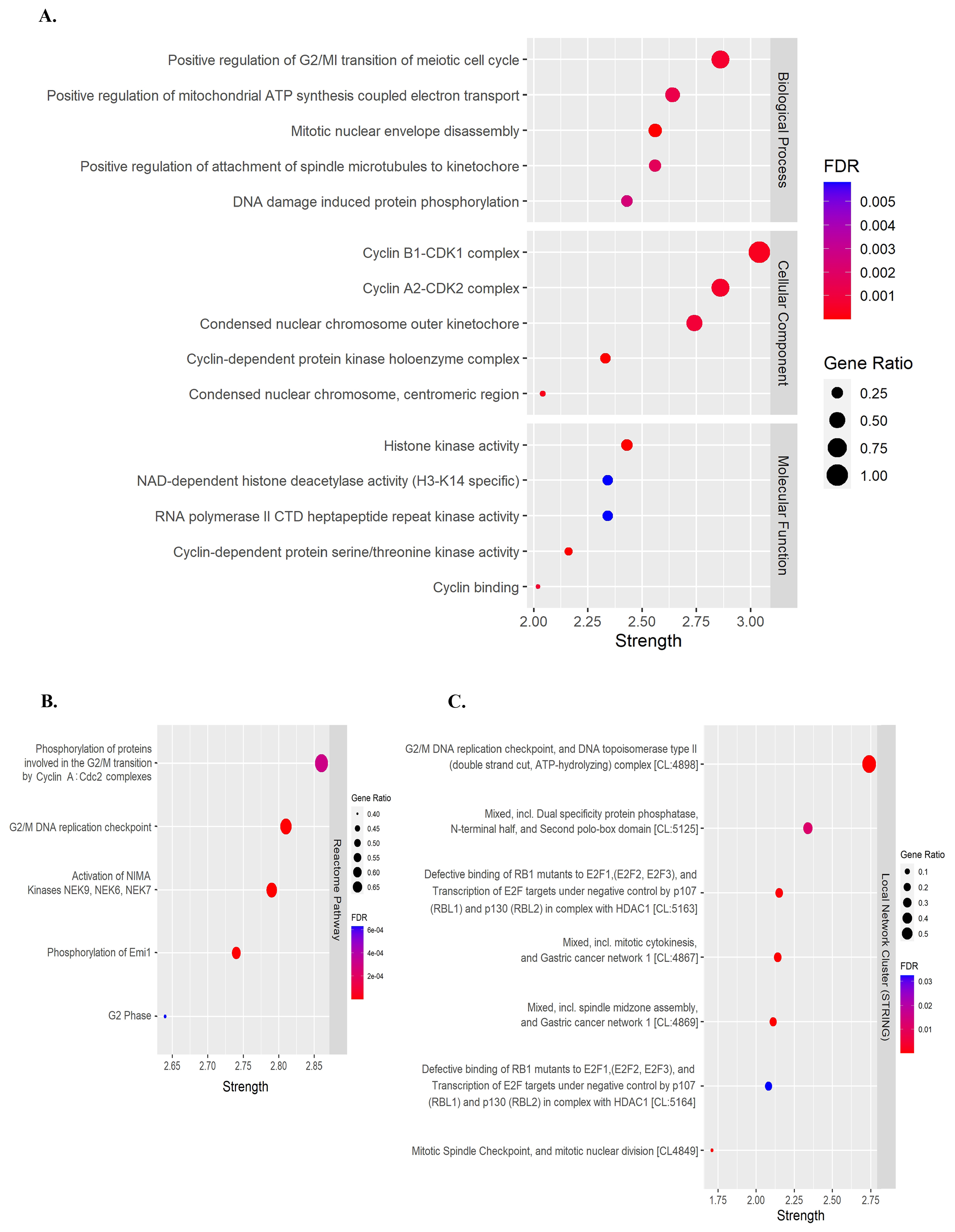 Nutrients 15 03090 g003 Nutrients 15 03090 g003
