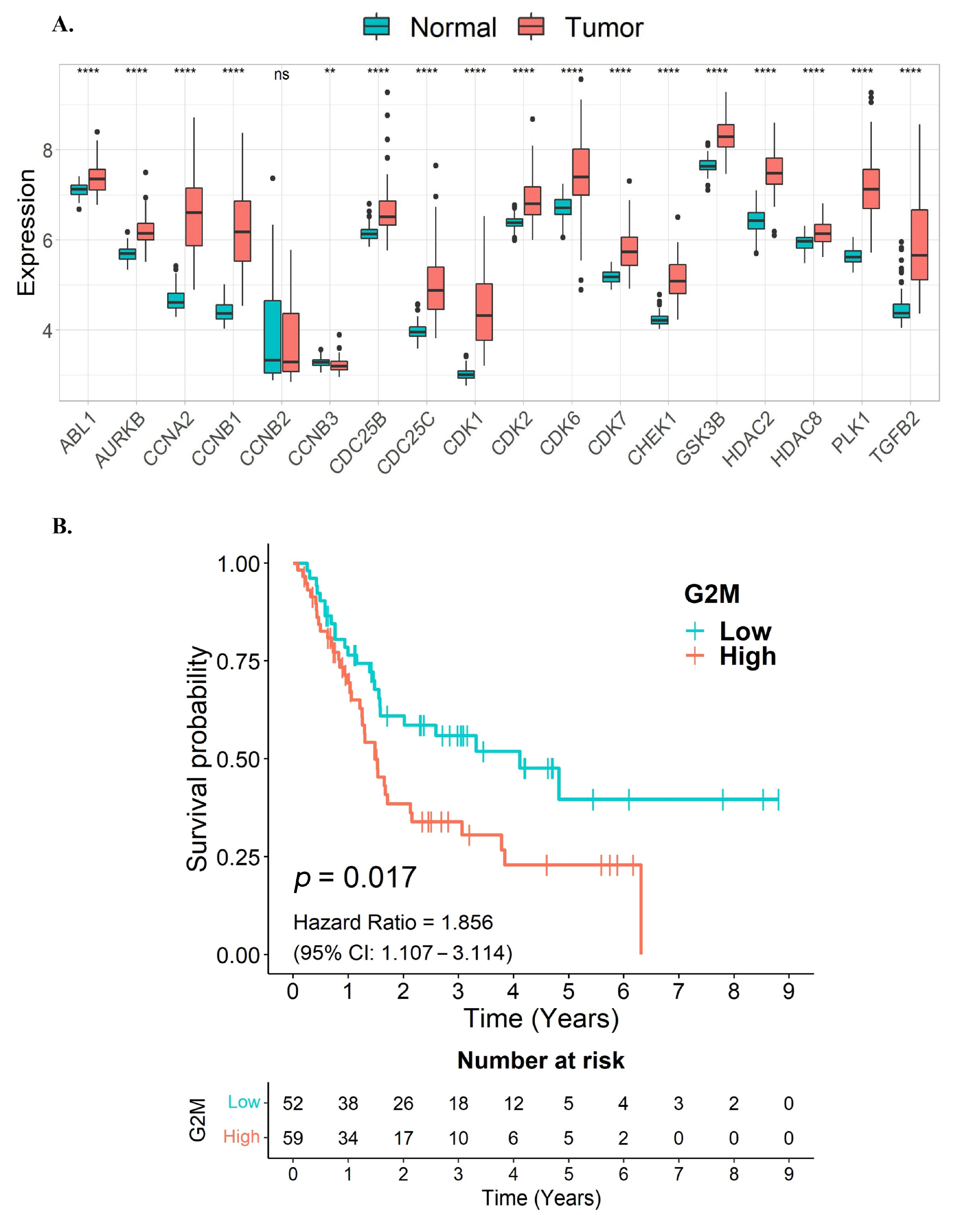 Nutrients 15 03090 g004 Nutrients 15 03090 g004