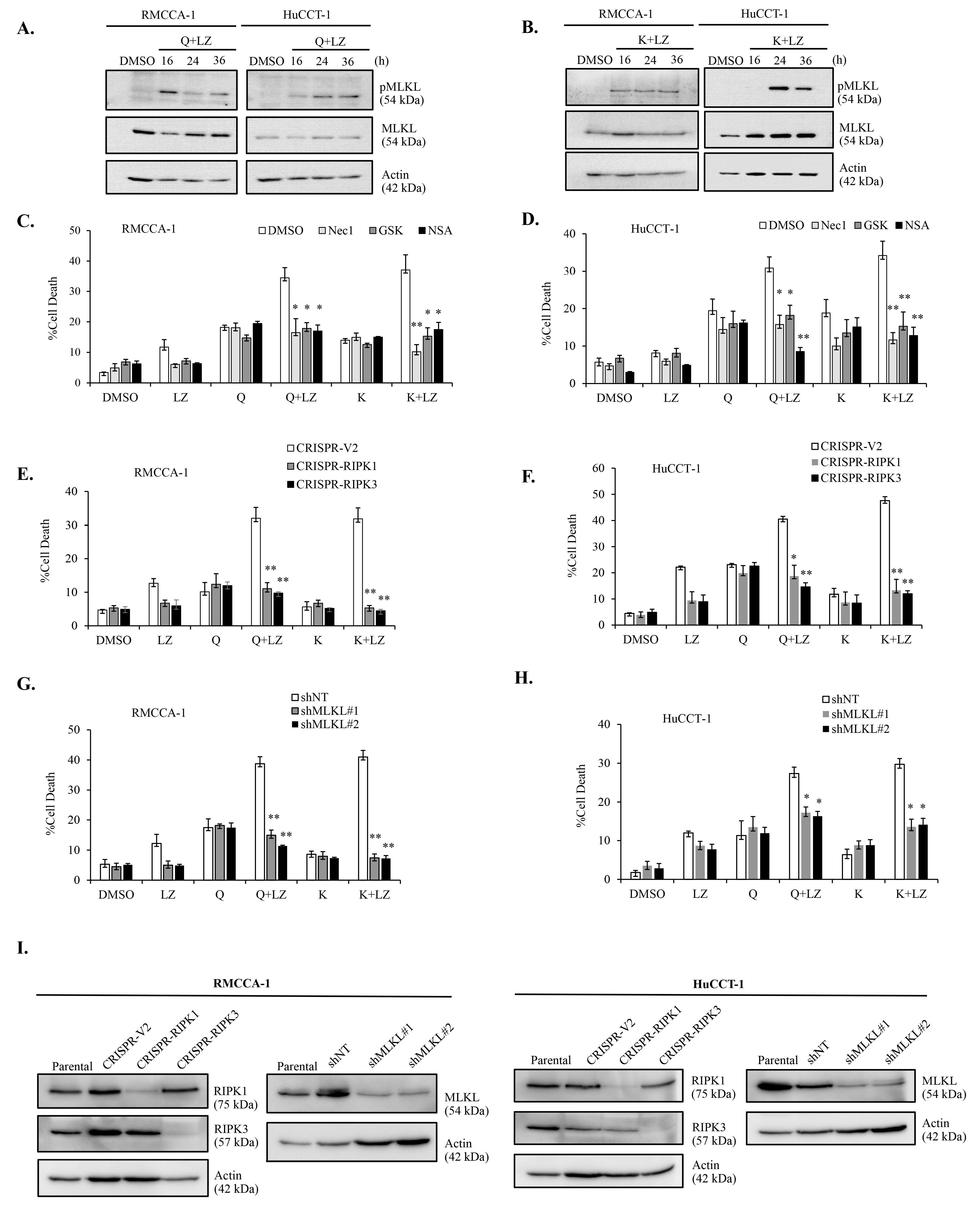 Nutrients 15 03090 g008 Nutrients 15 03090 g008