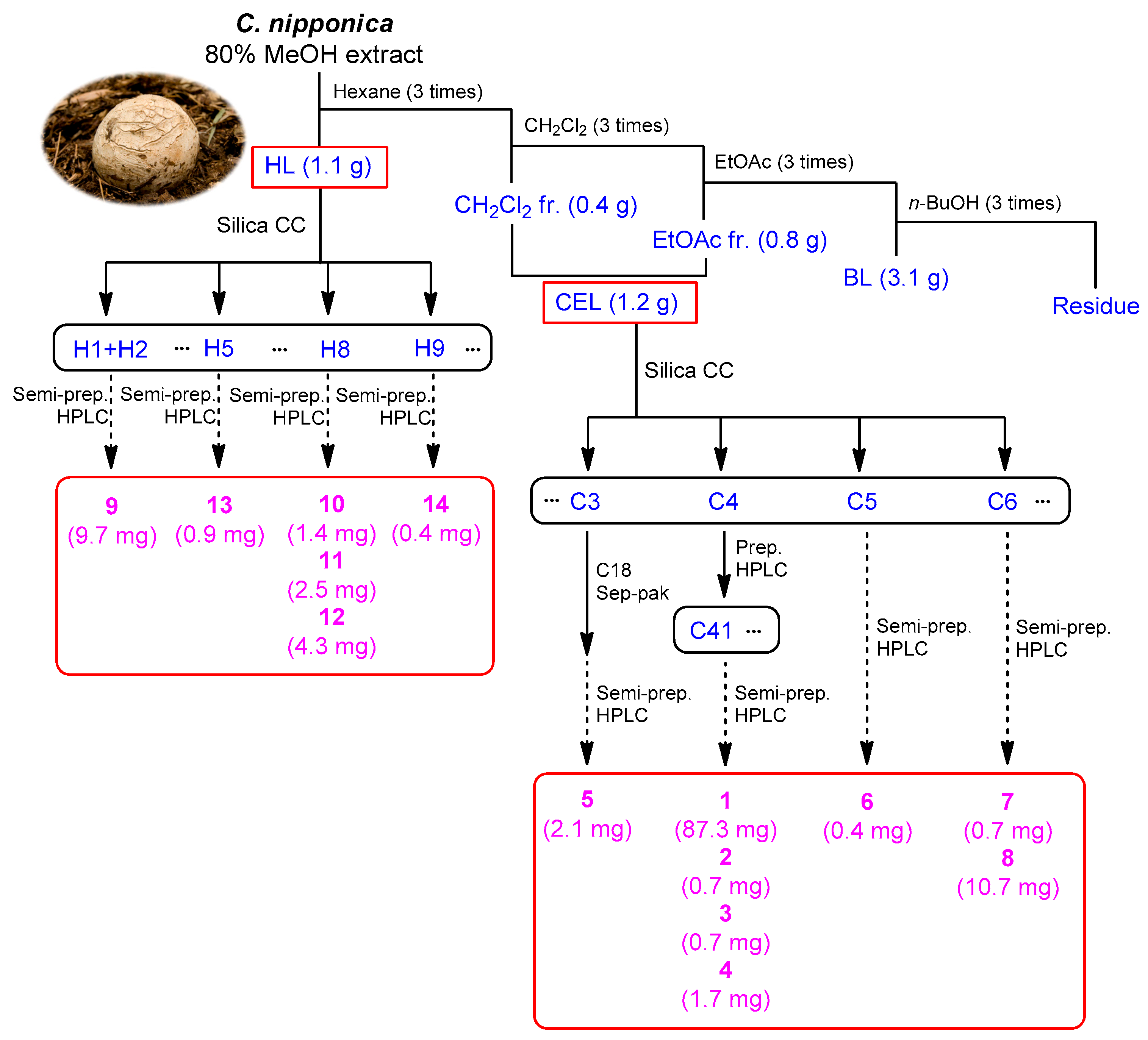 Nutrients 15 03091 g002