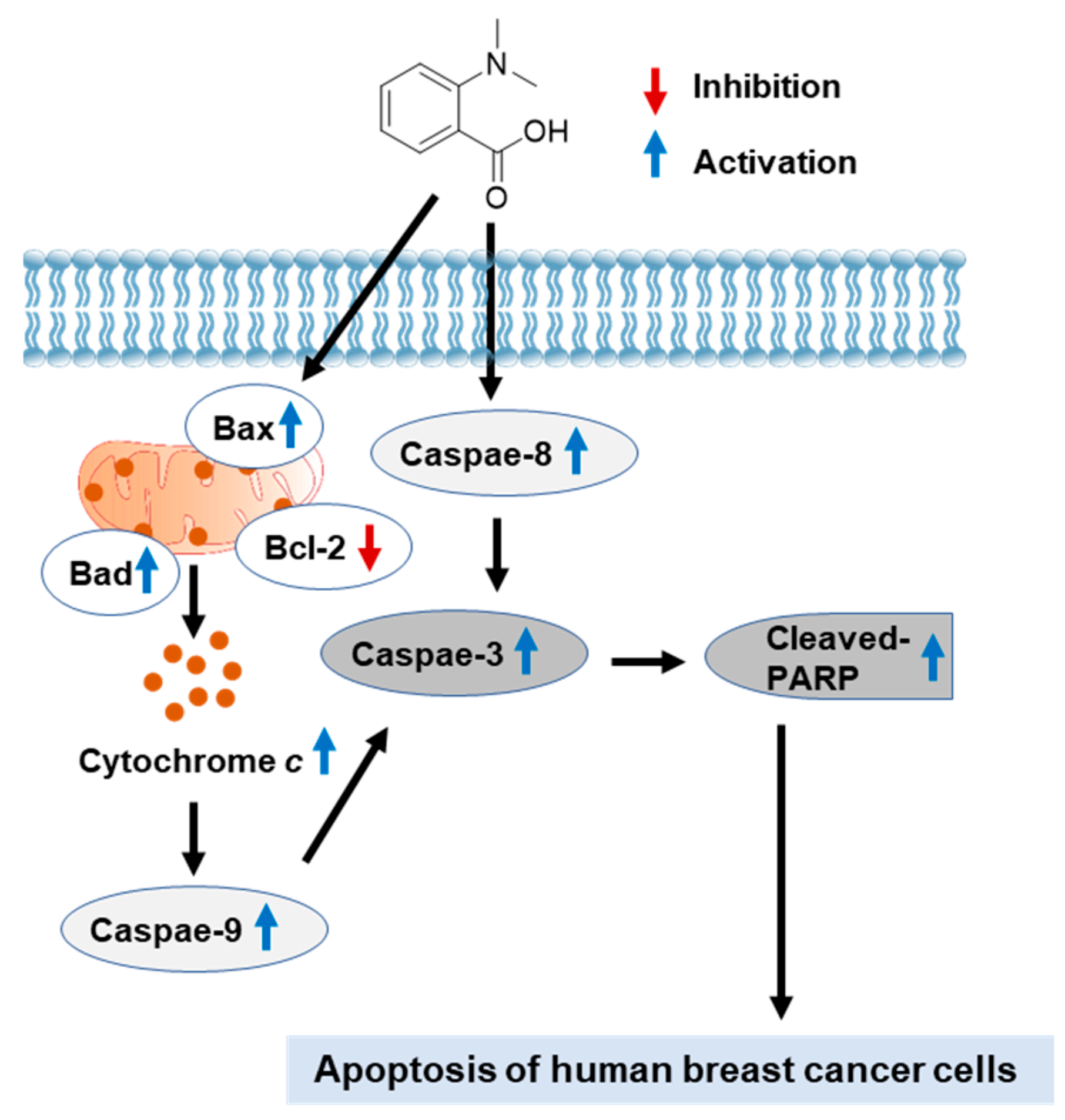Nutrients 15 03091 g008