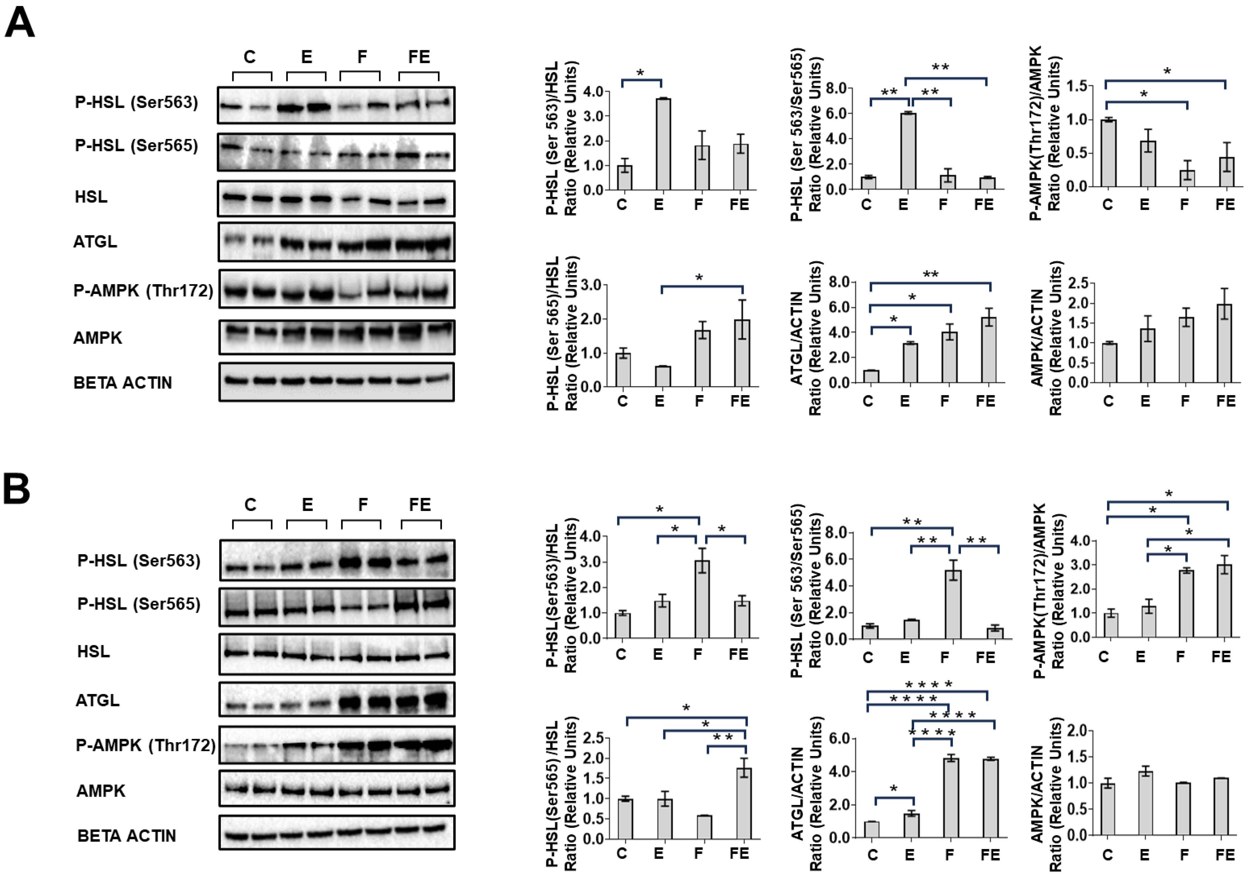 Nutrients 15 03095 g006