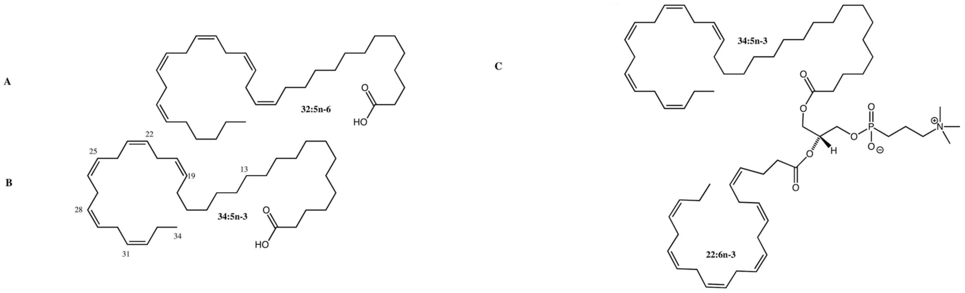 Nutrients 15 03096 g001 Nutrients 15 03096 g001