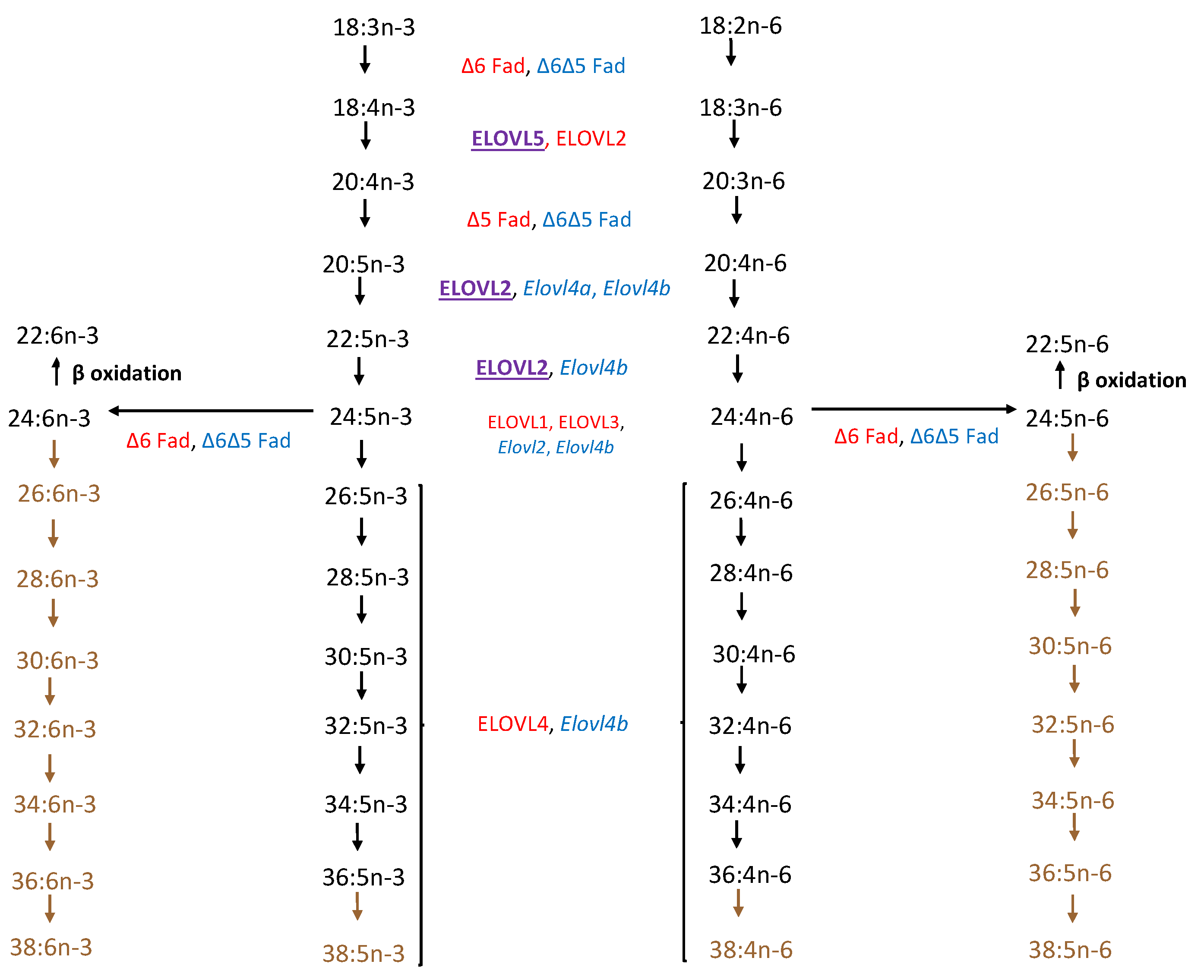 Nutrients 15 03096 g002 Nutrients 15 03096 g002