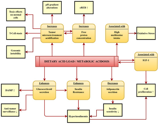 cenexa labs klow Dietary Acid Load and Cancer Risk: A Review of the Uruguayan Experience