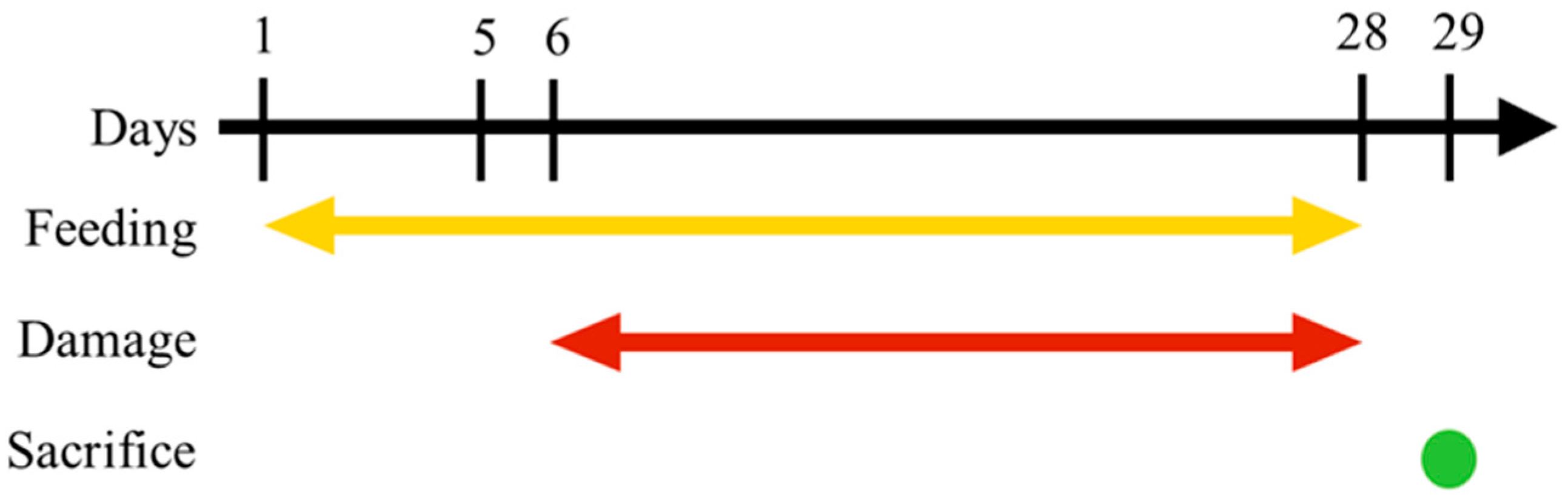 Nutrients 15 03103 g001