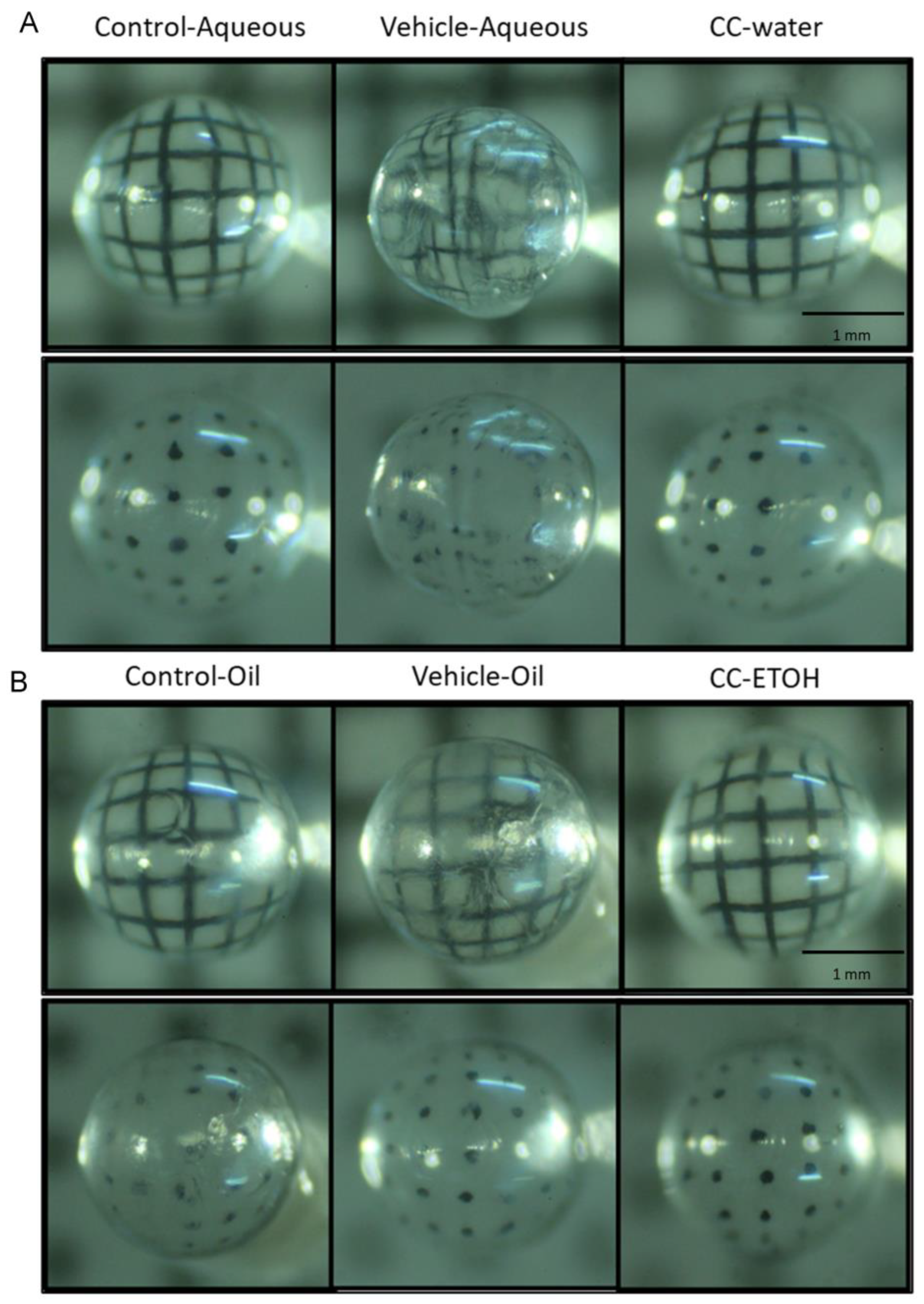 Nutrients 15 03103 g004