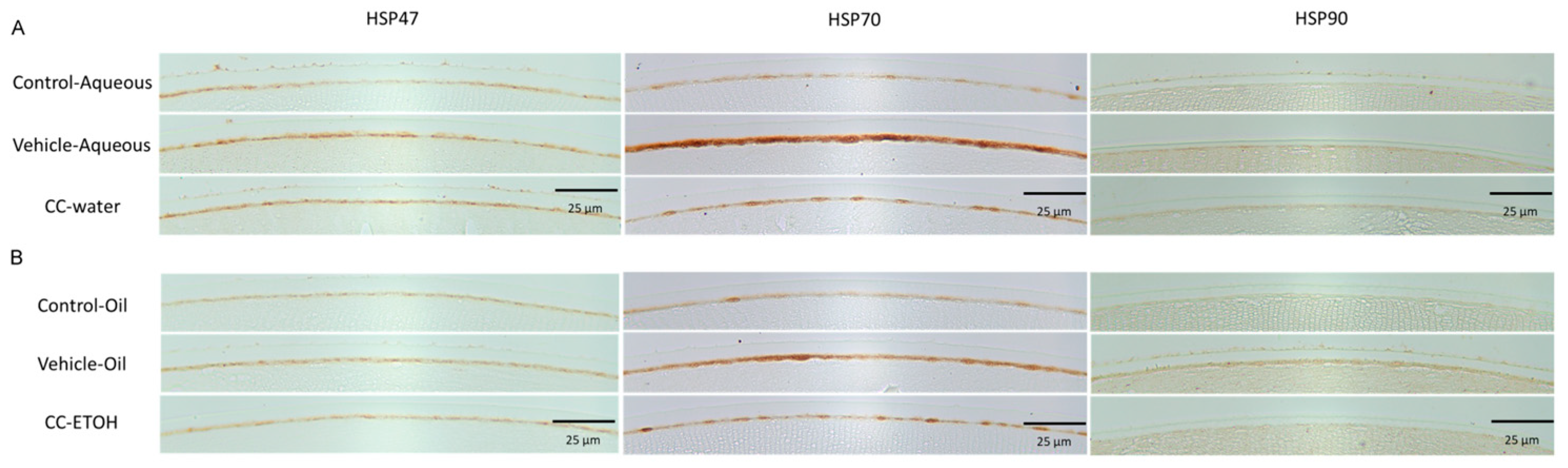 Nutrients 15 03103 g006
