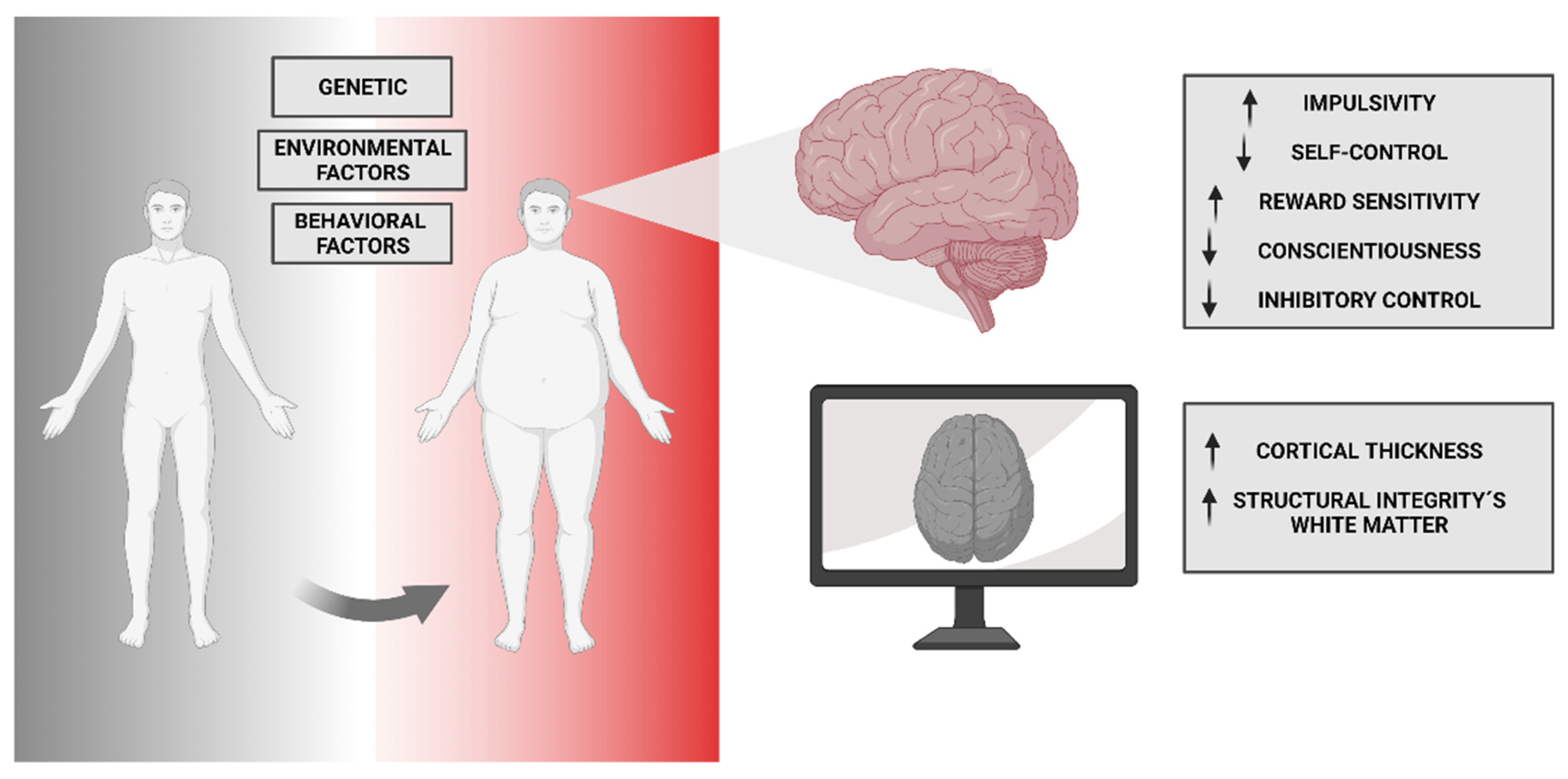 Nutrients 15 03106 g002 Nutrients 15 03106 g002
