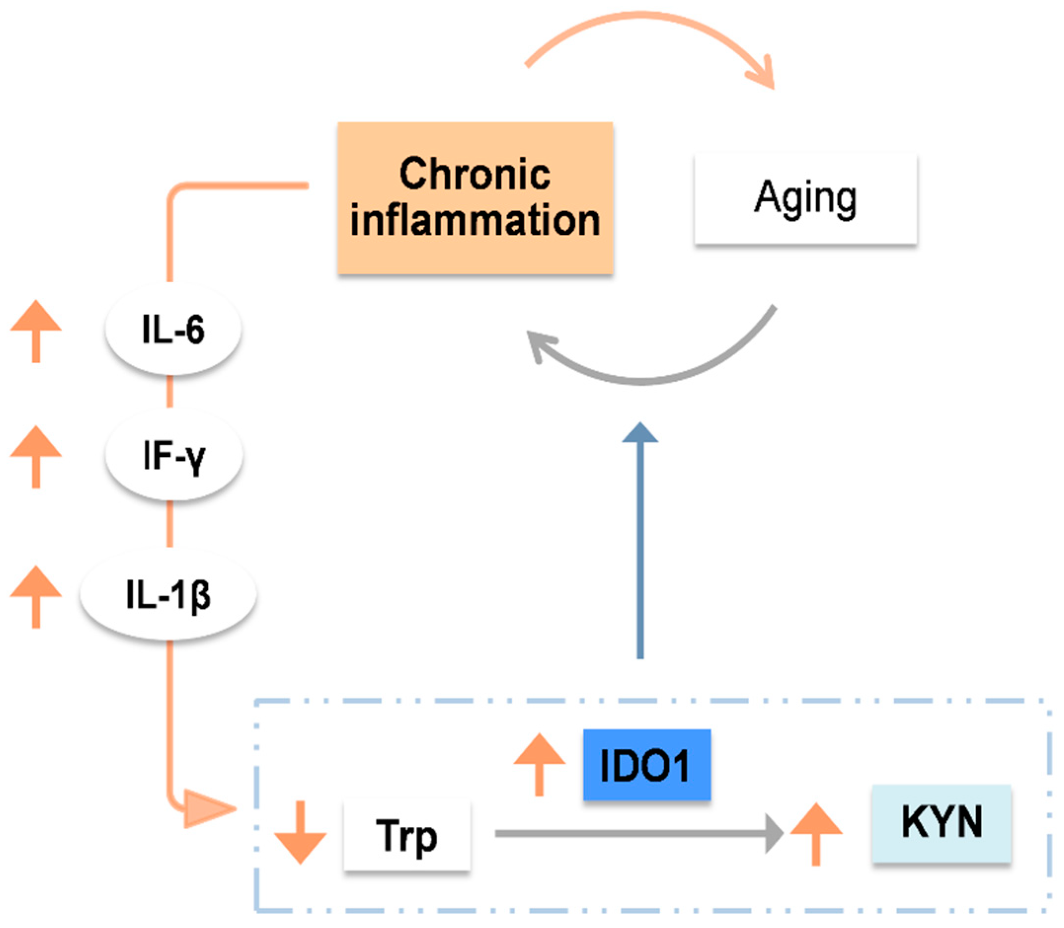 Nutrients 15 03132 g002 Nutrients 15 03132 g002