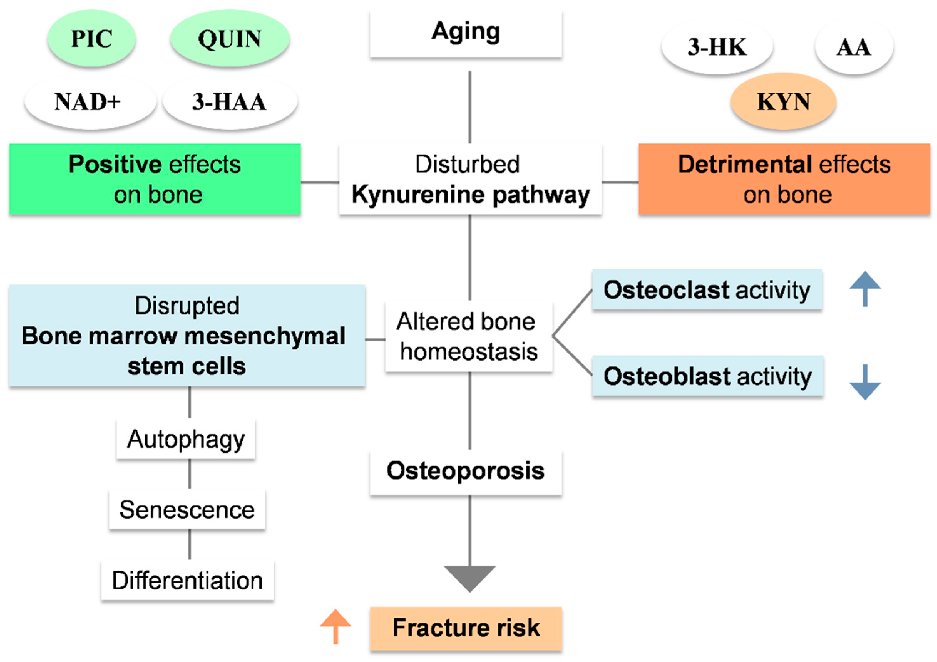 Nutrients 15 03132 g003 Nutrients 15 03132 g003