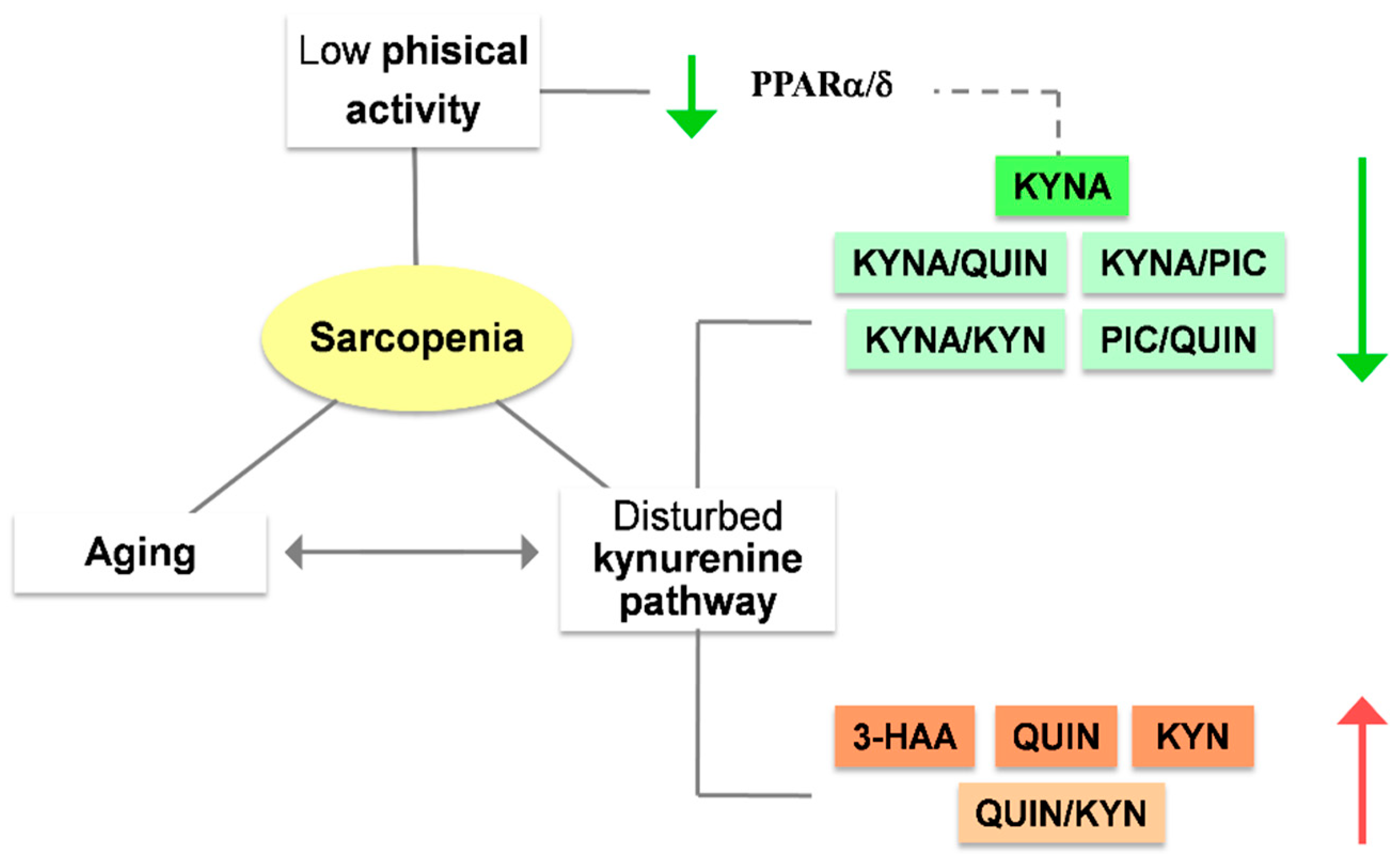 Nutrients 15 03132 g004 Nutrients 15 03132 g004