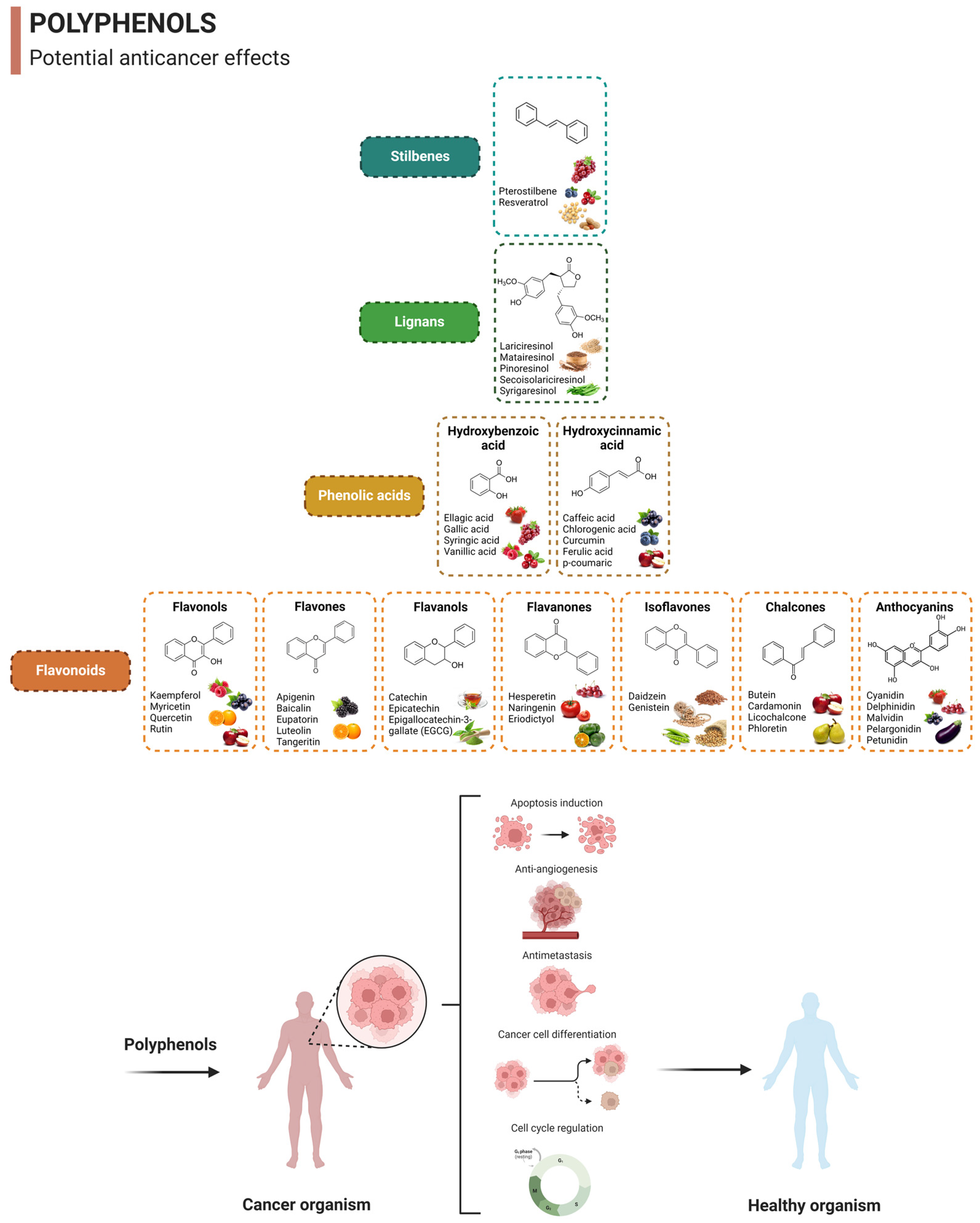 Nutrients 15 03136 g003 Nutrients 15 03136 g003