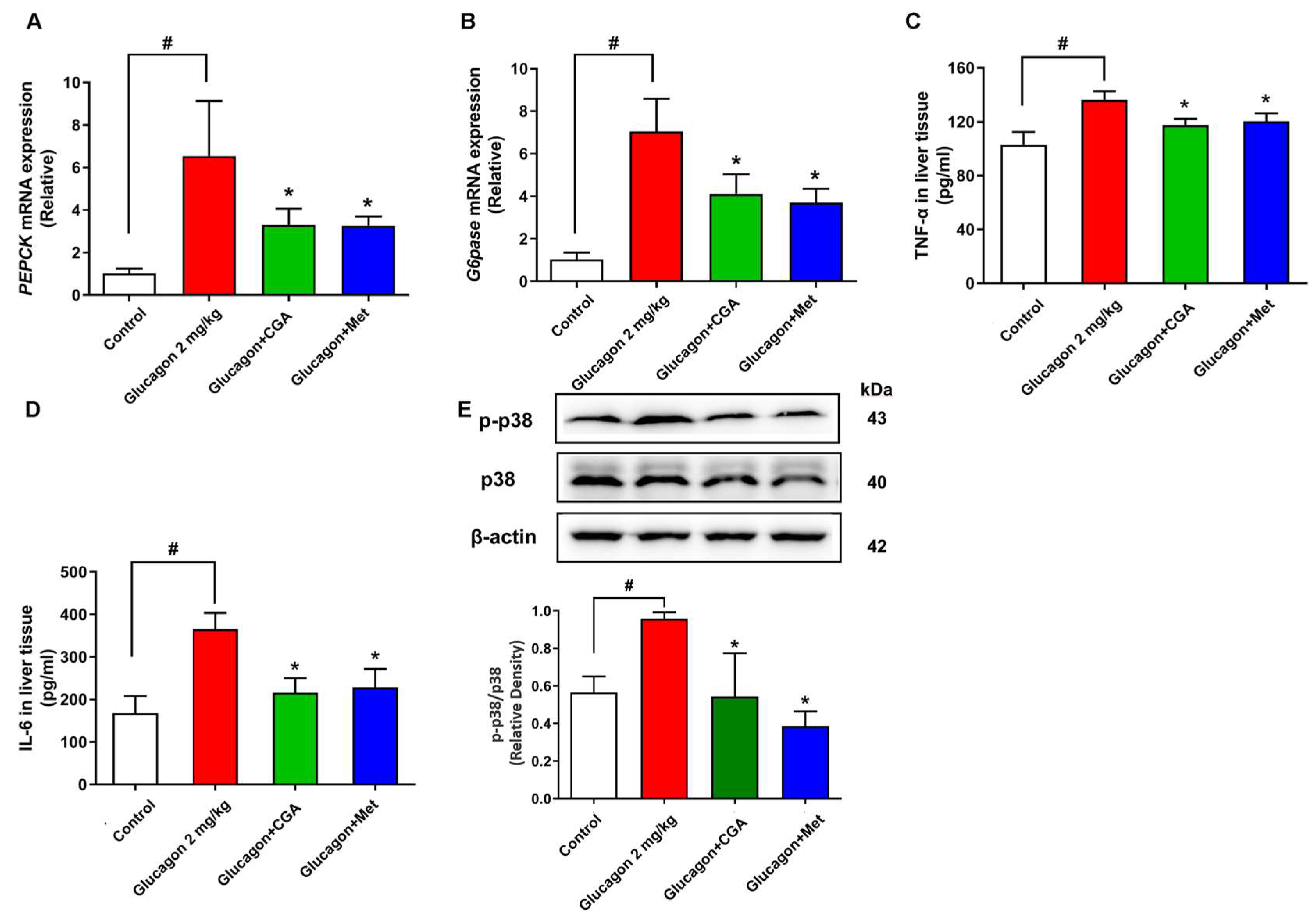 Nutrients 15 03173 g002