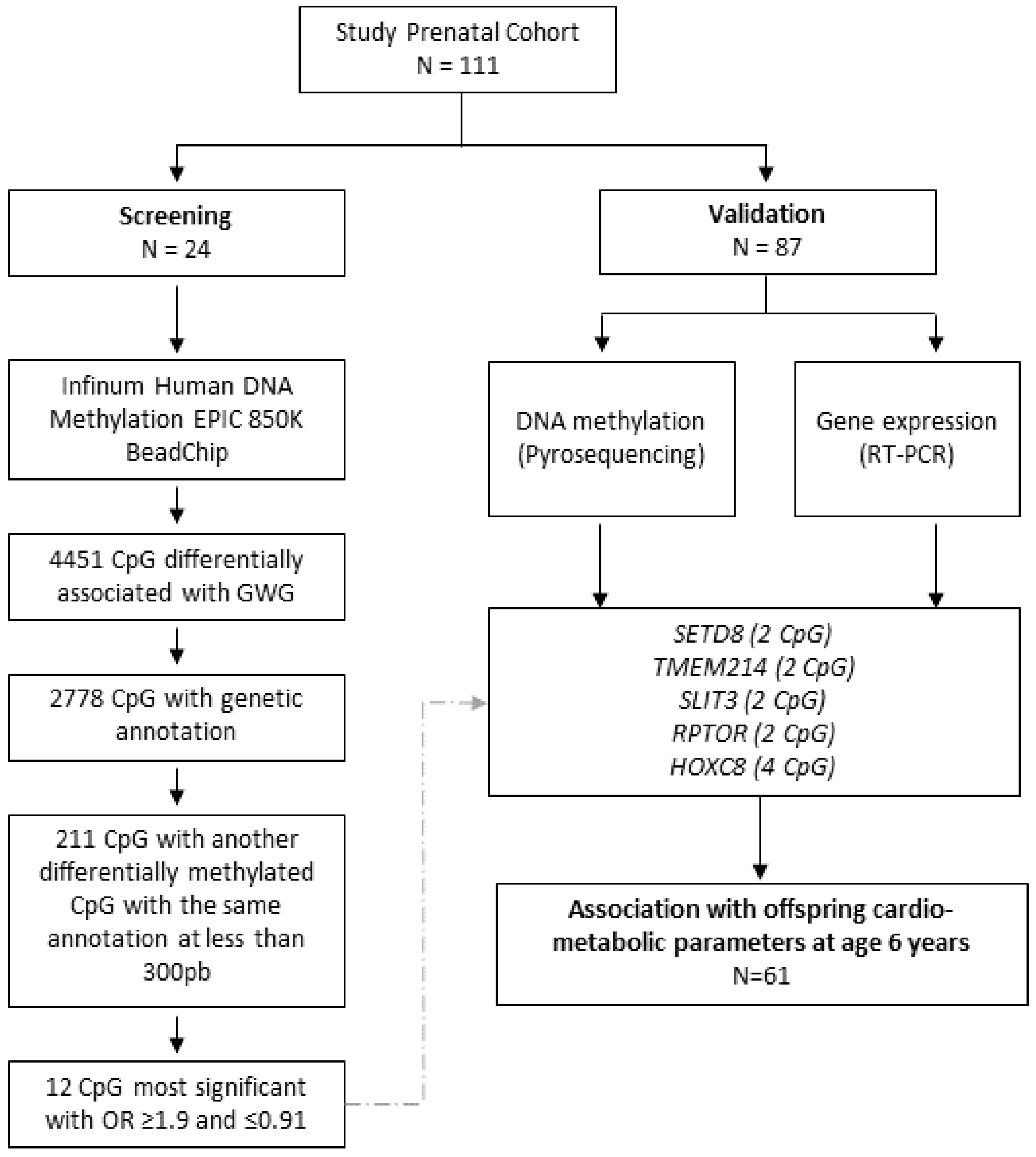 Nutrients 15 03175 g001